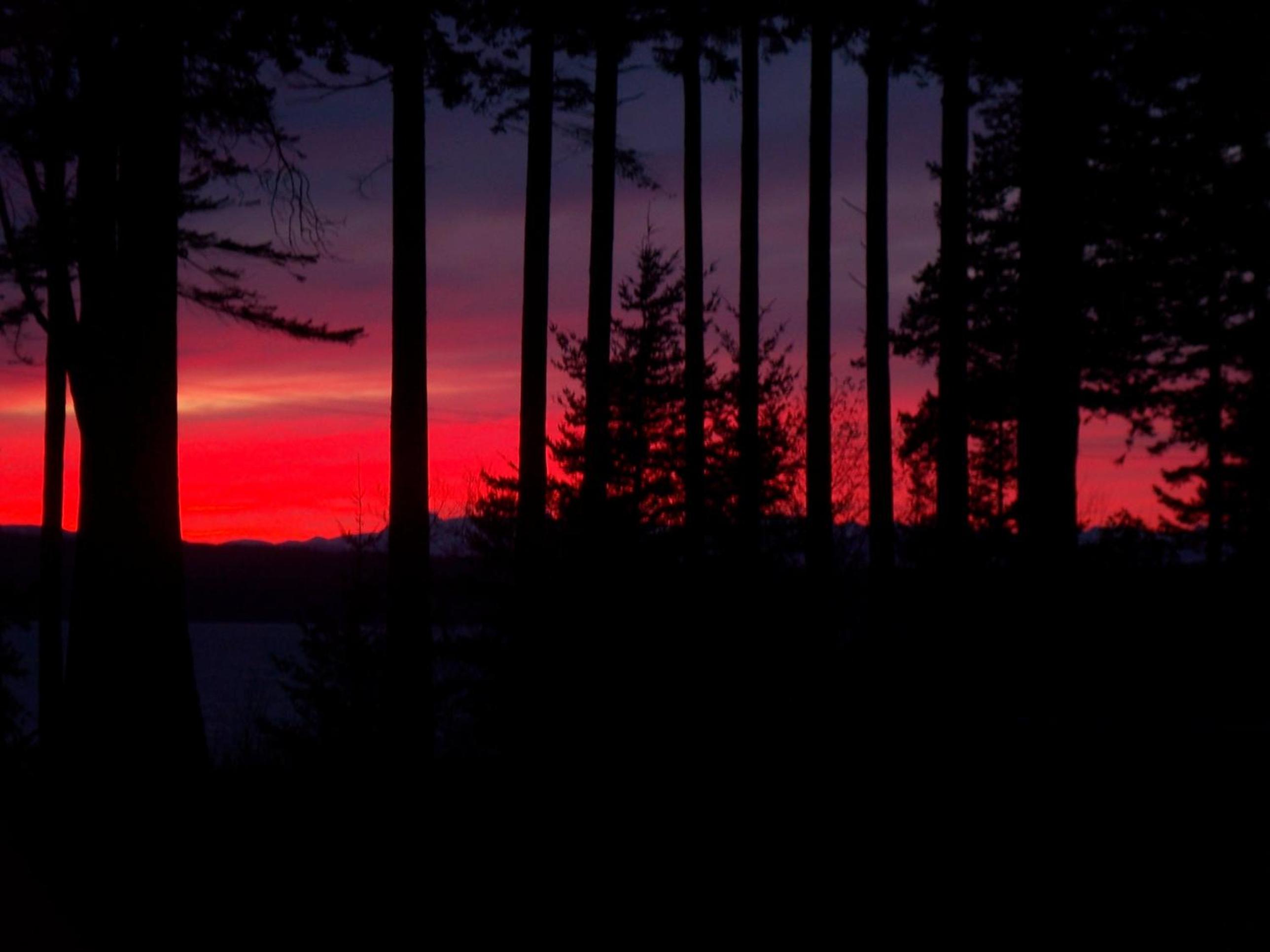 Malaspina Strait Cottage