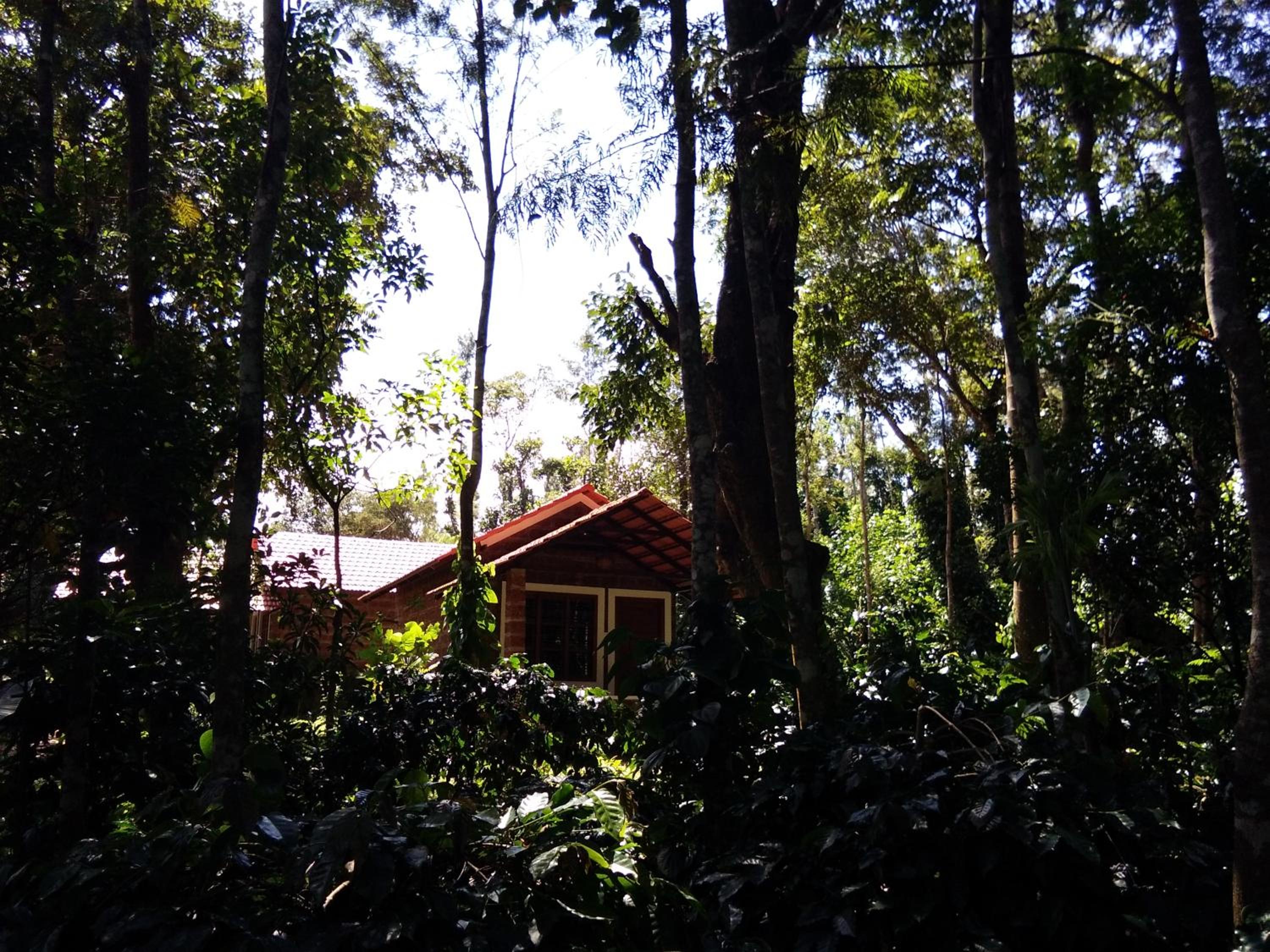 Copper Edge - Eco Resort, Coorg