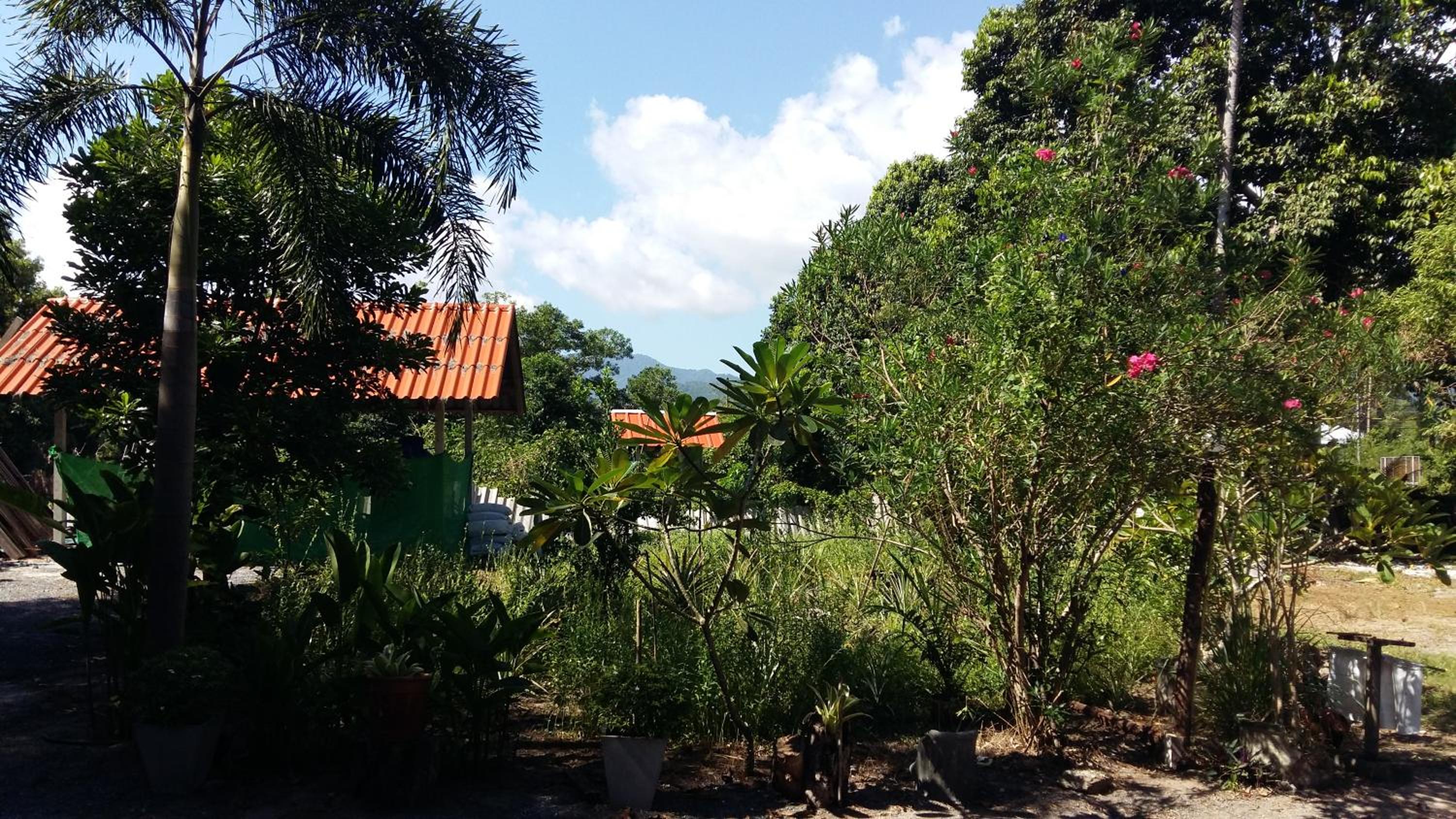 บ้านสนมณีโฮมสเตย์ Bansonmanee Homestay