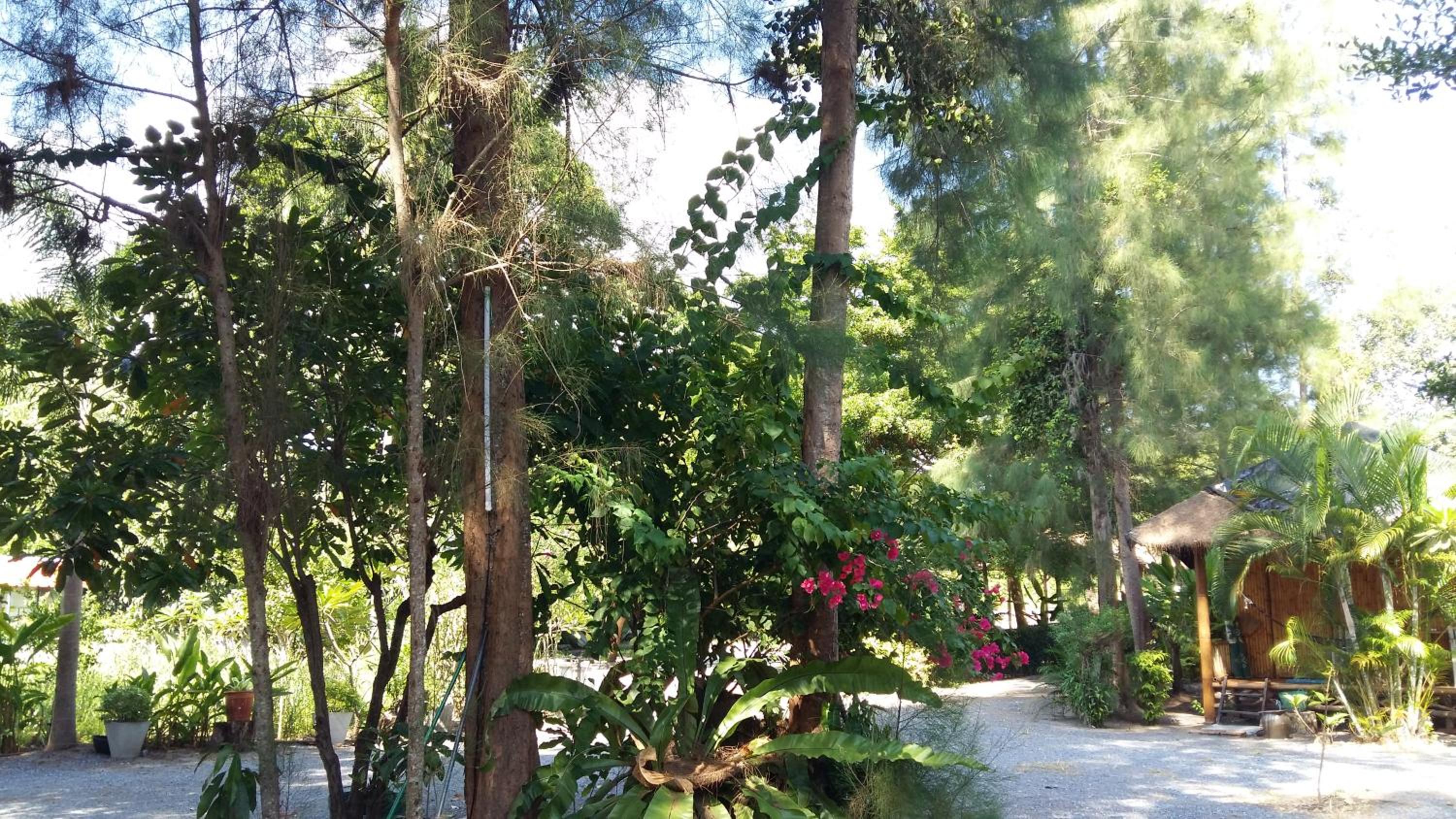 บ้านสนมณีโฮมสเตย์ Bansonmanee Homestay