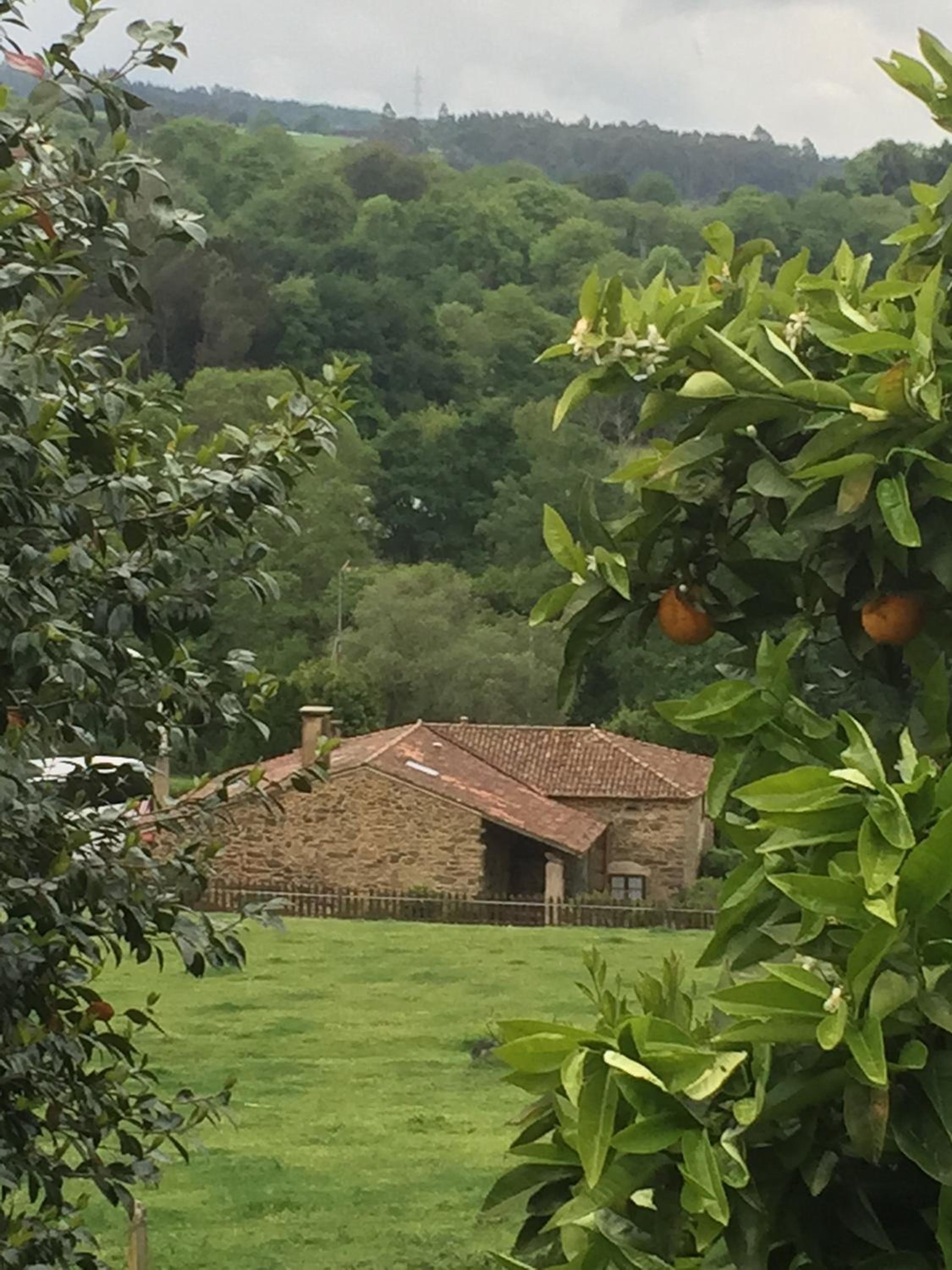 Casa Torres view 5