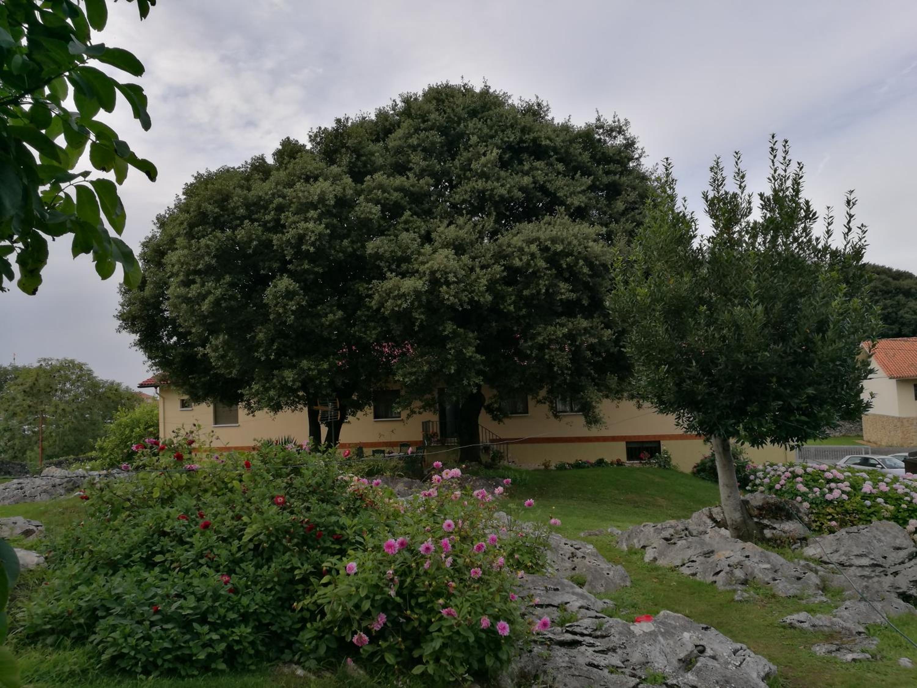 Hotel La Encina Celorio Llanes - Property Image 26