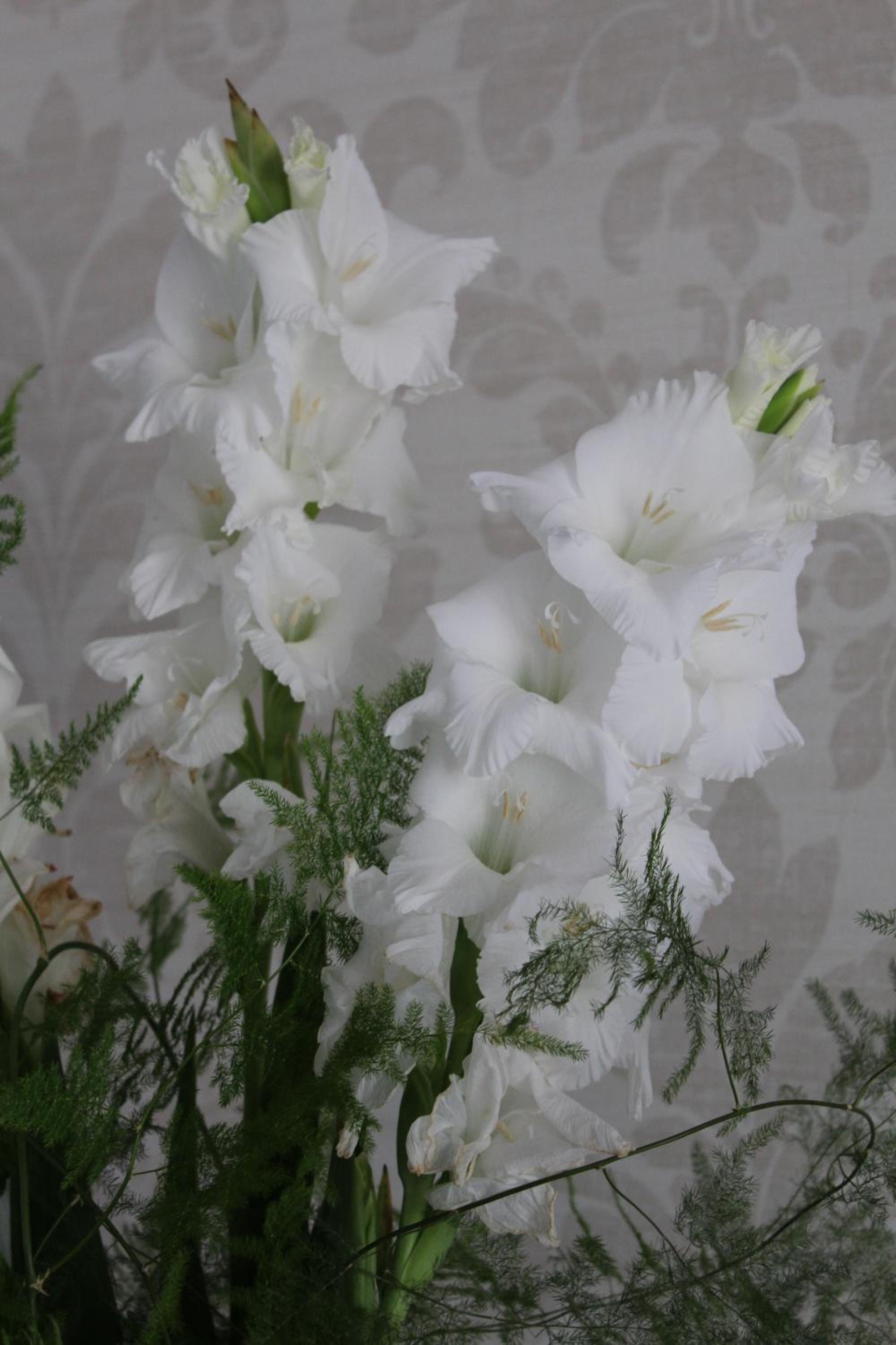 Photo 96