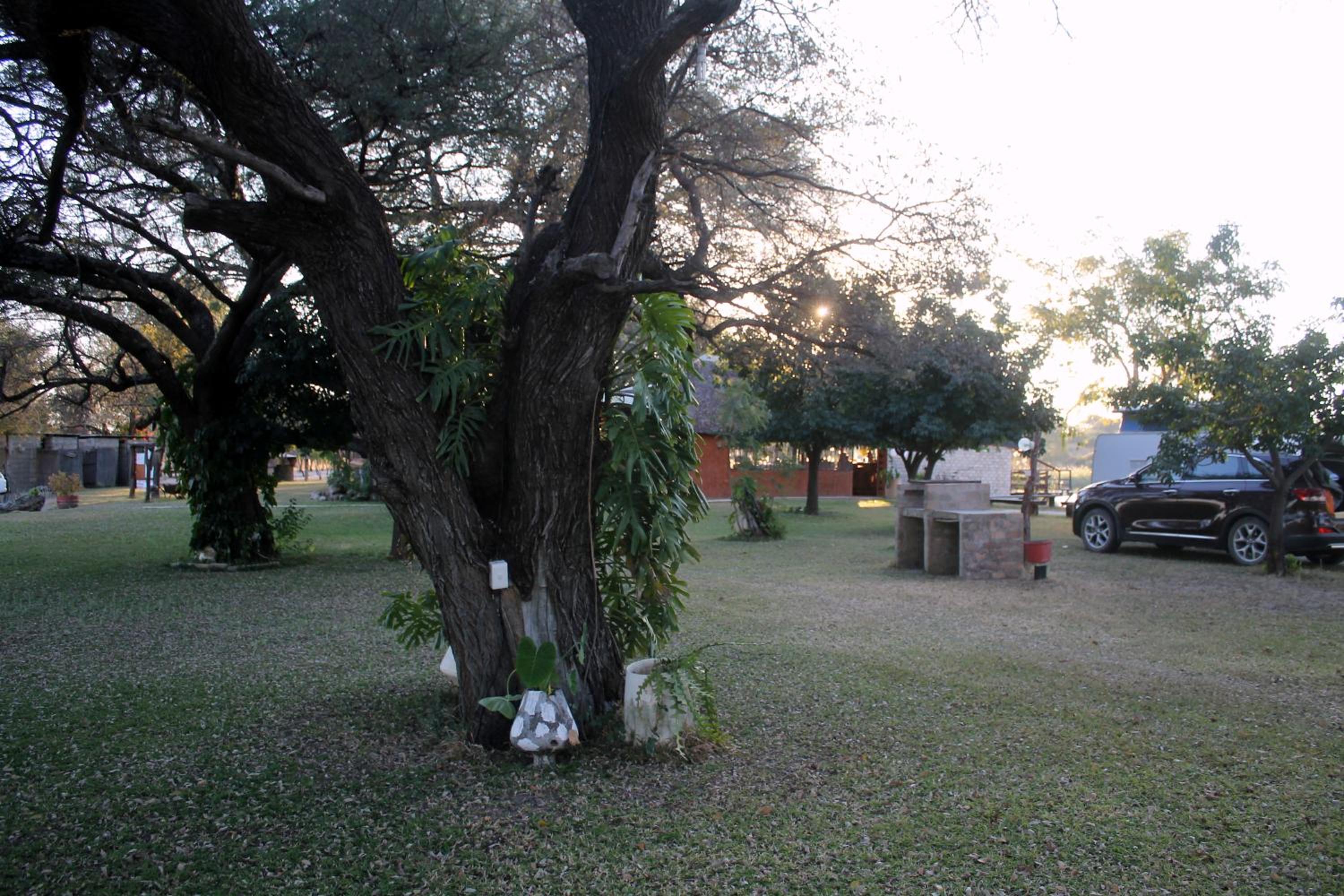 Photo 27