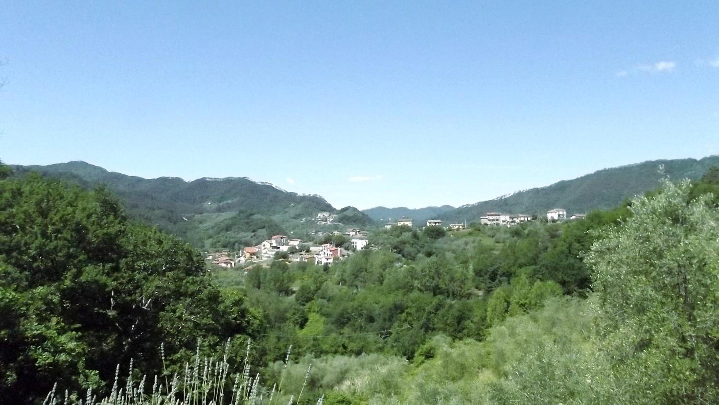 Luce Stellata