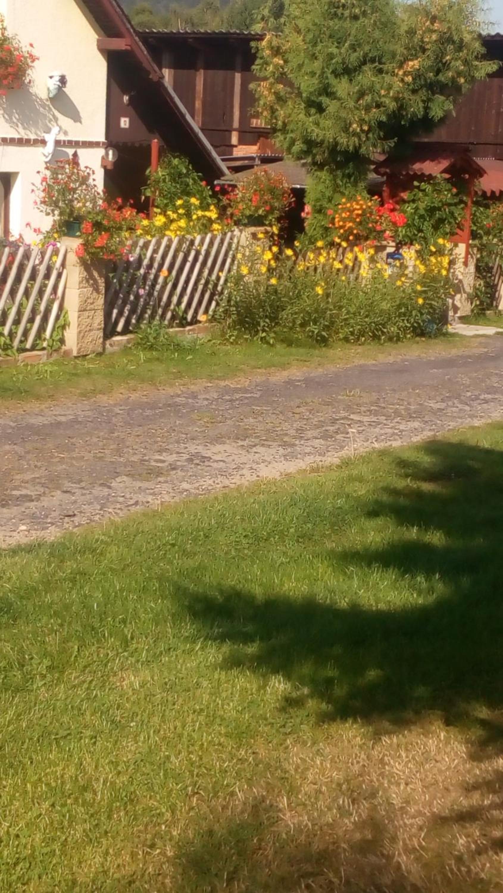 U Tří Koček