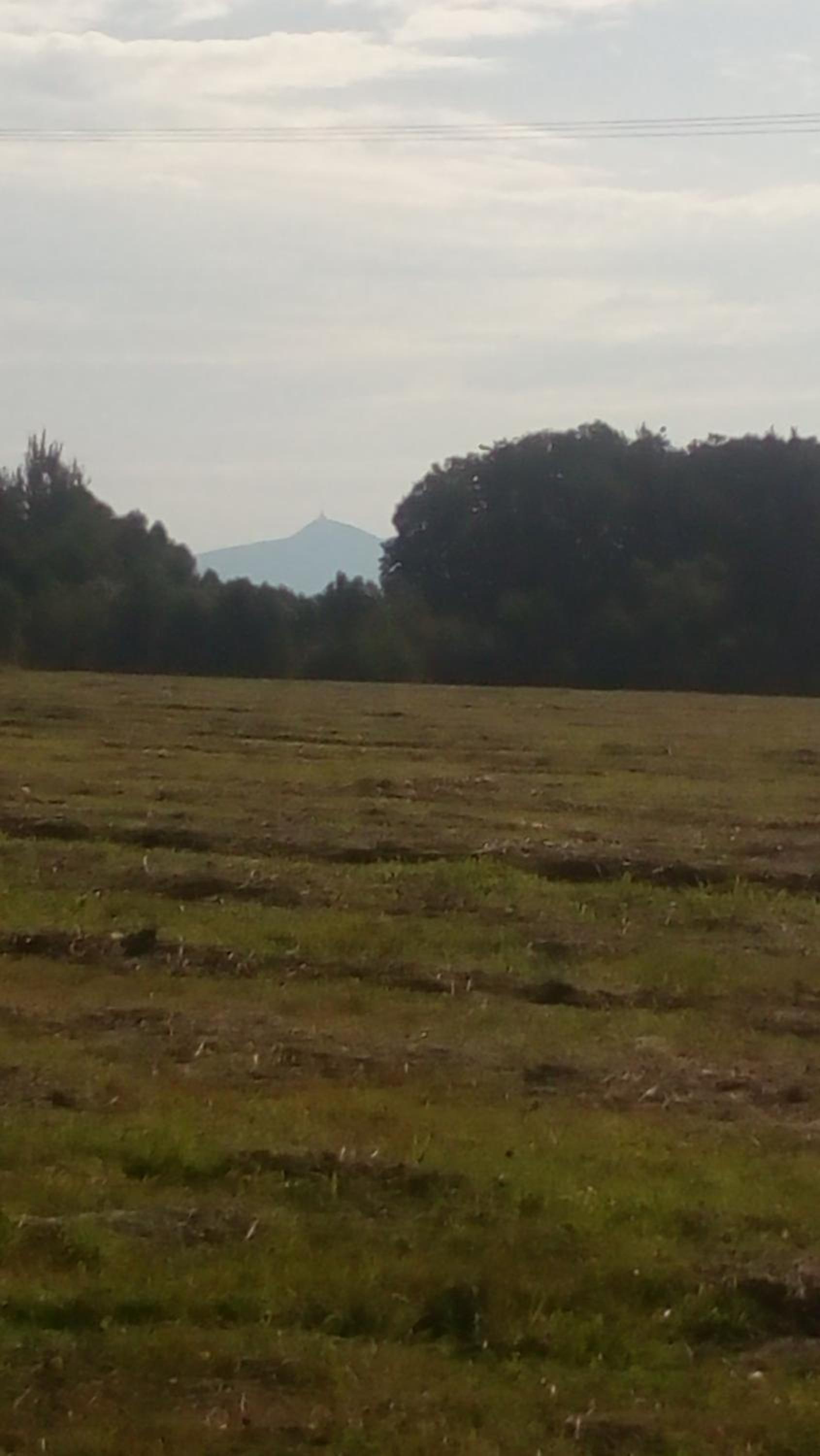 U Tří Koček