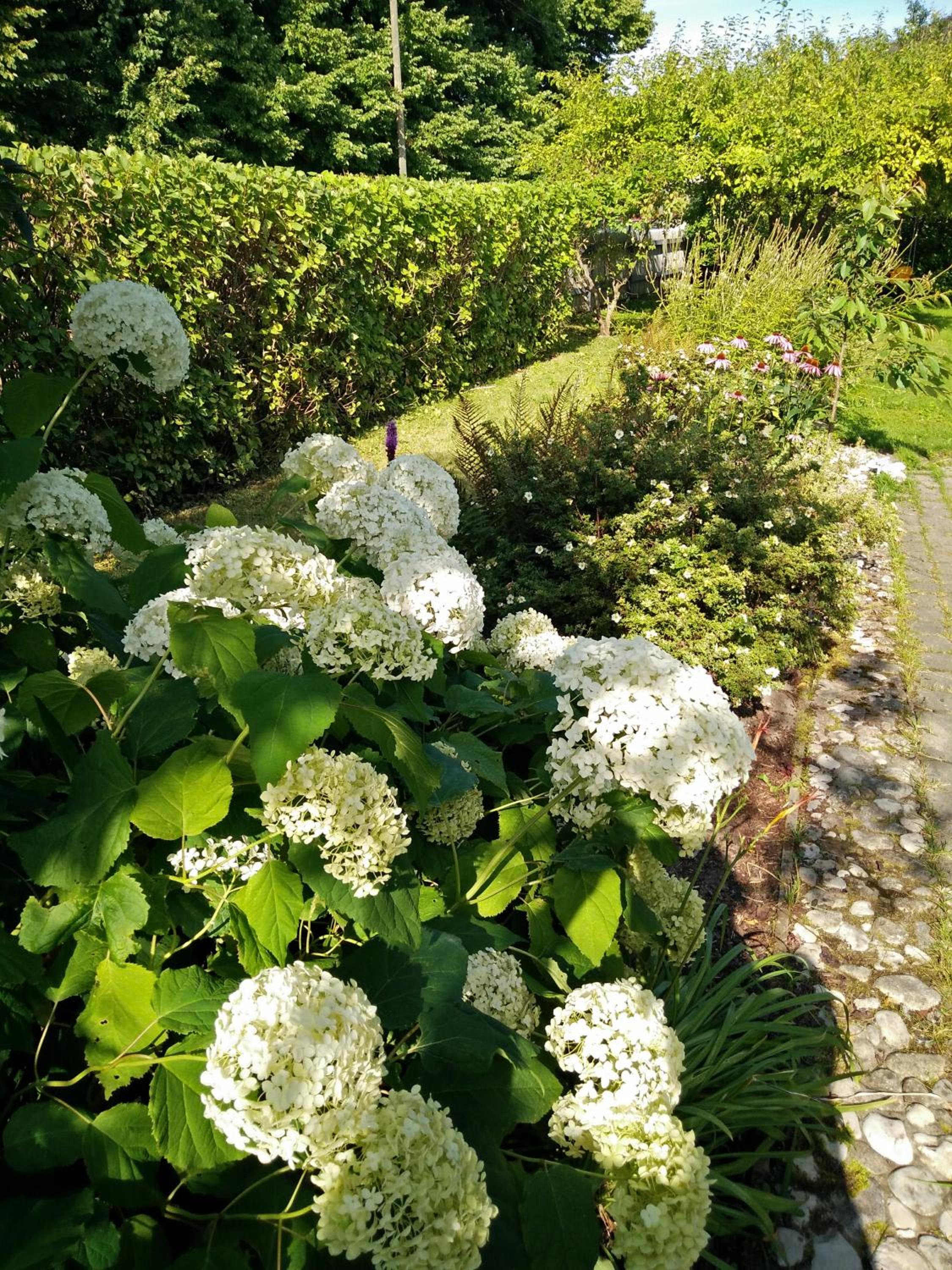 Lembitu Holiday Home