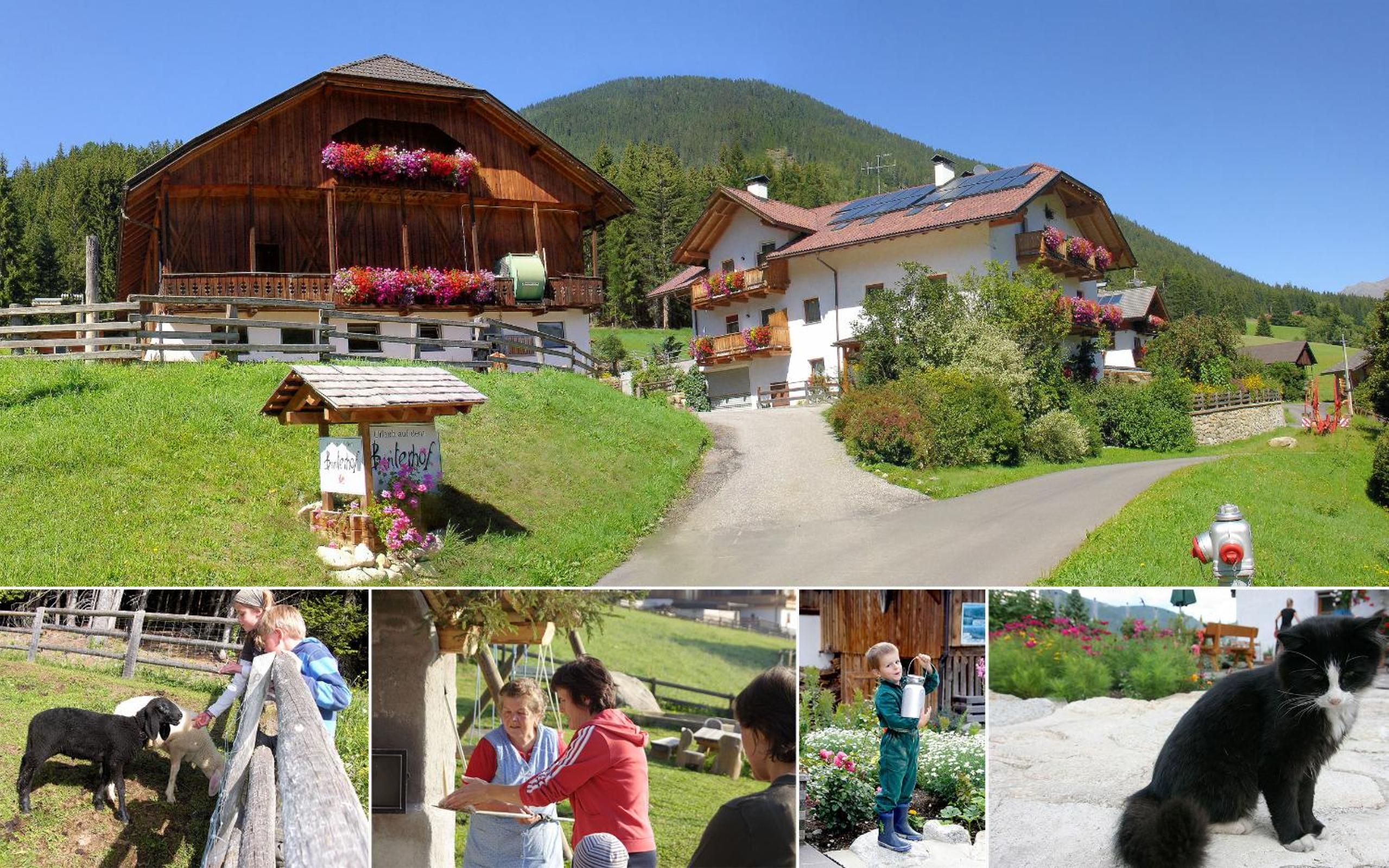Binterhof
