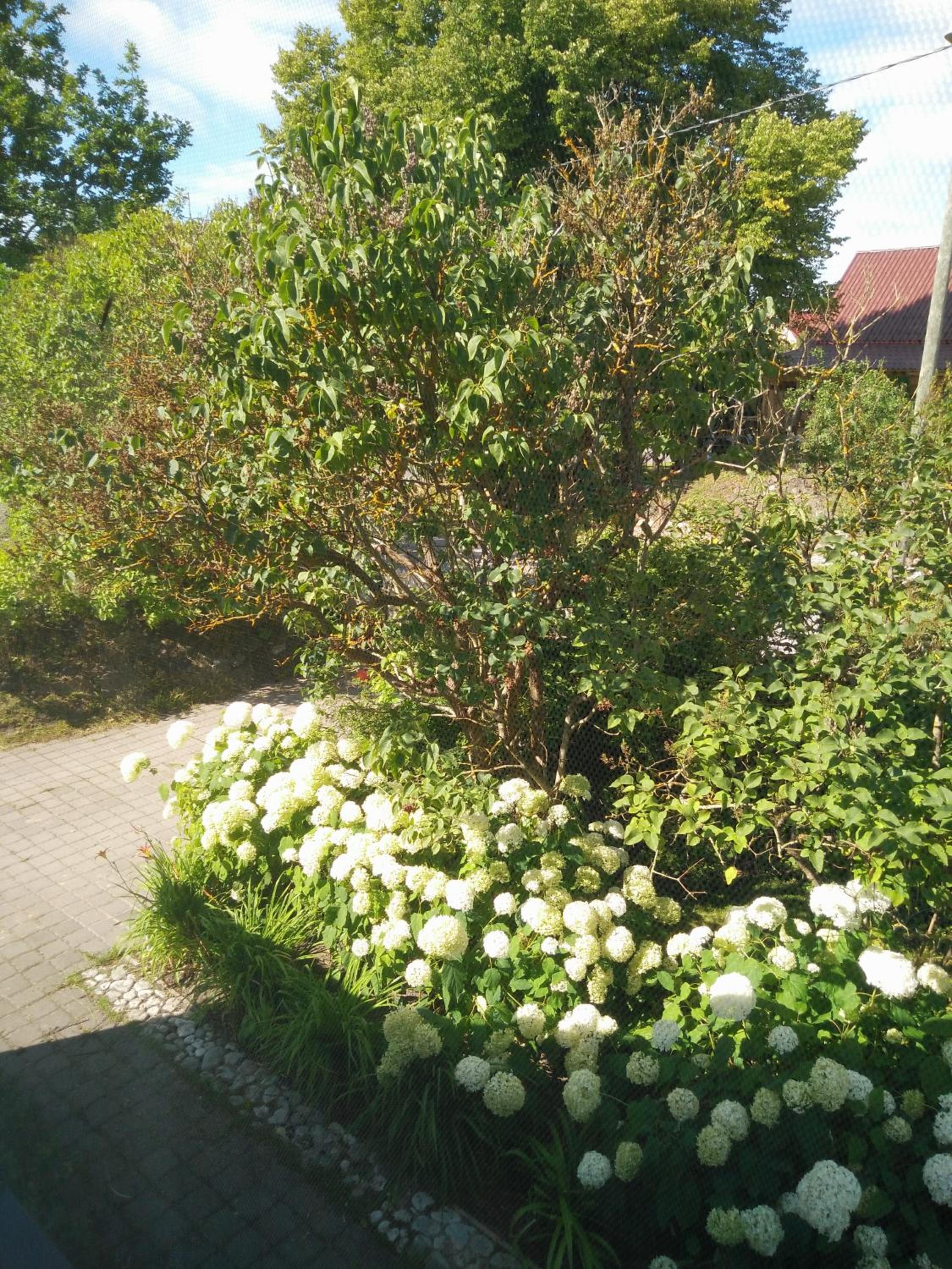 Lembitu Holiday Home
