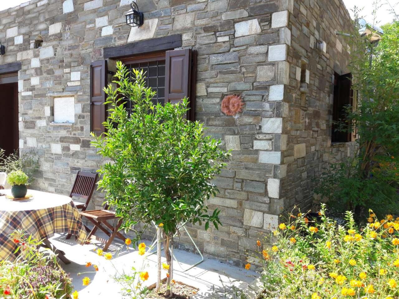 Photo 23