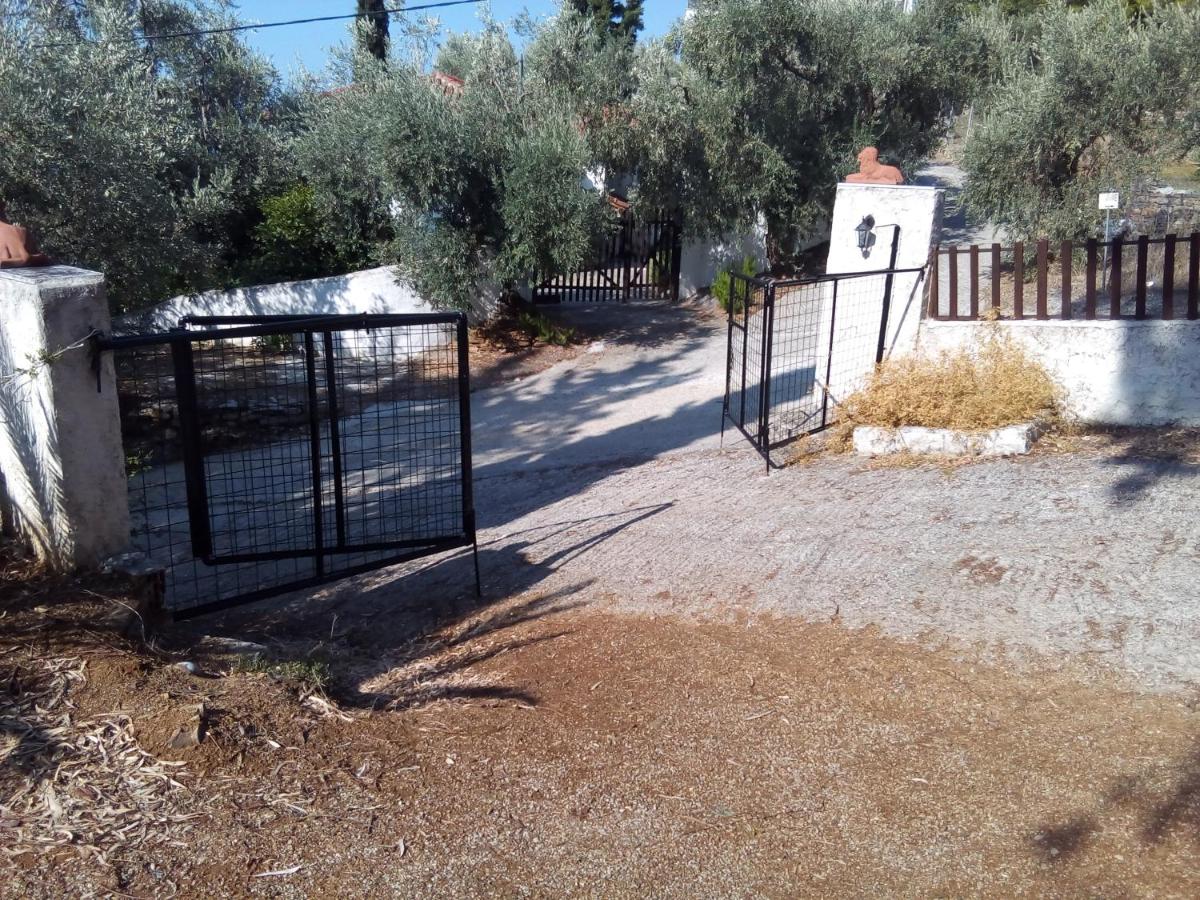 Photo 26
