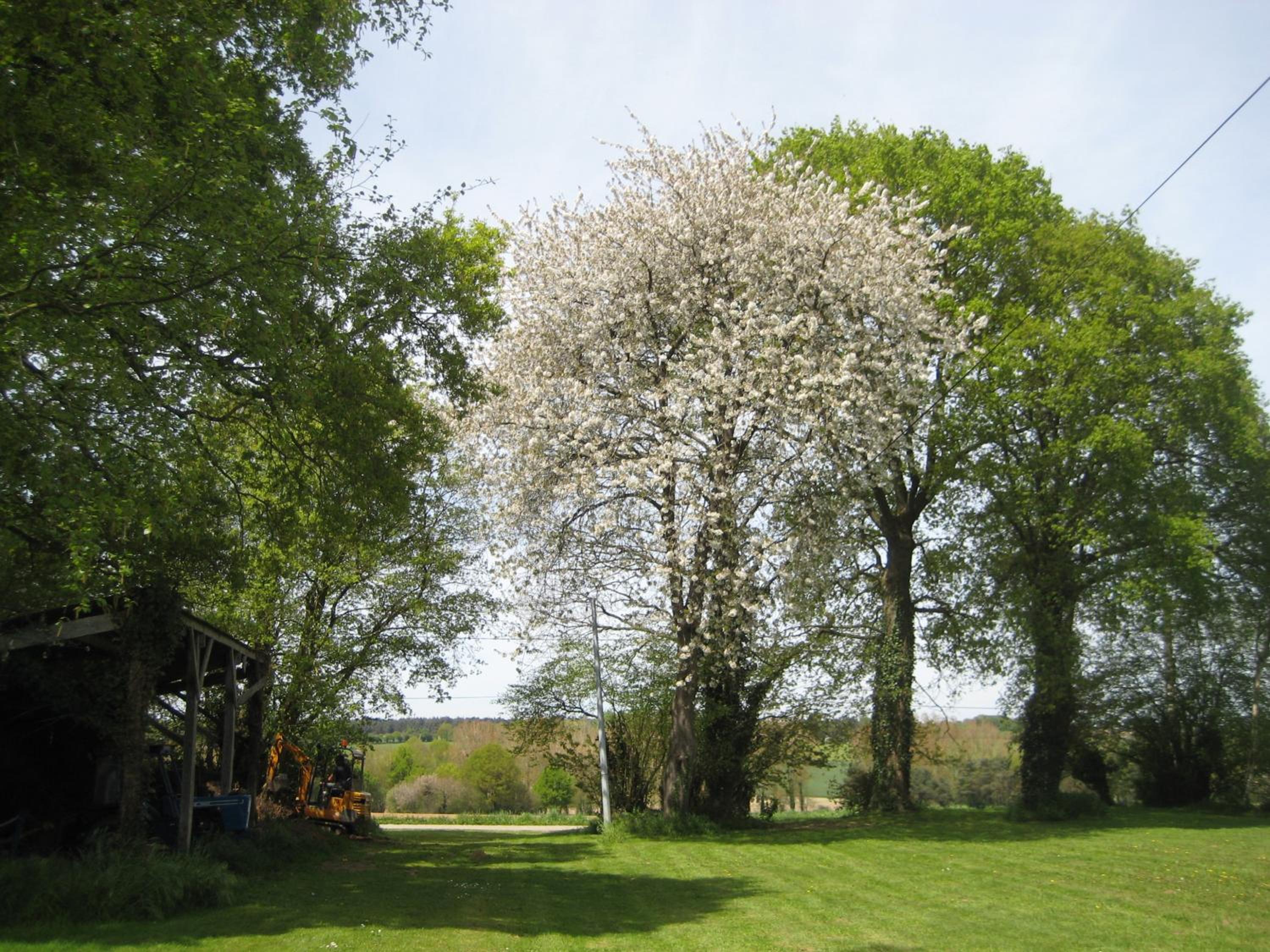Photo 26