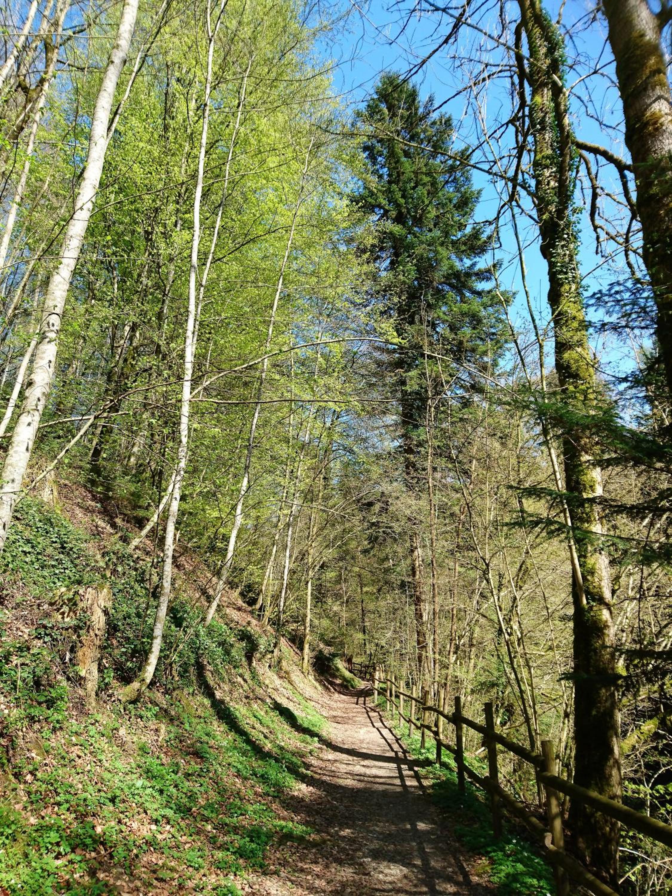 Photo 21