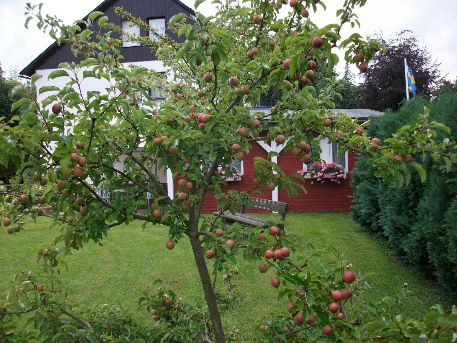 Photo 22