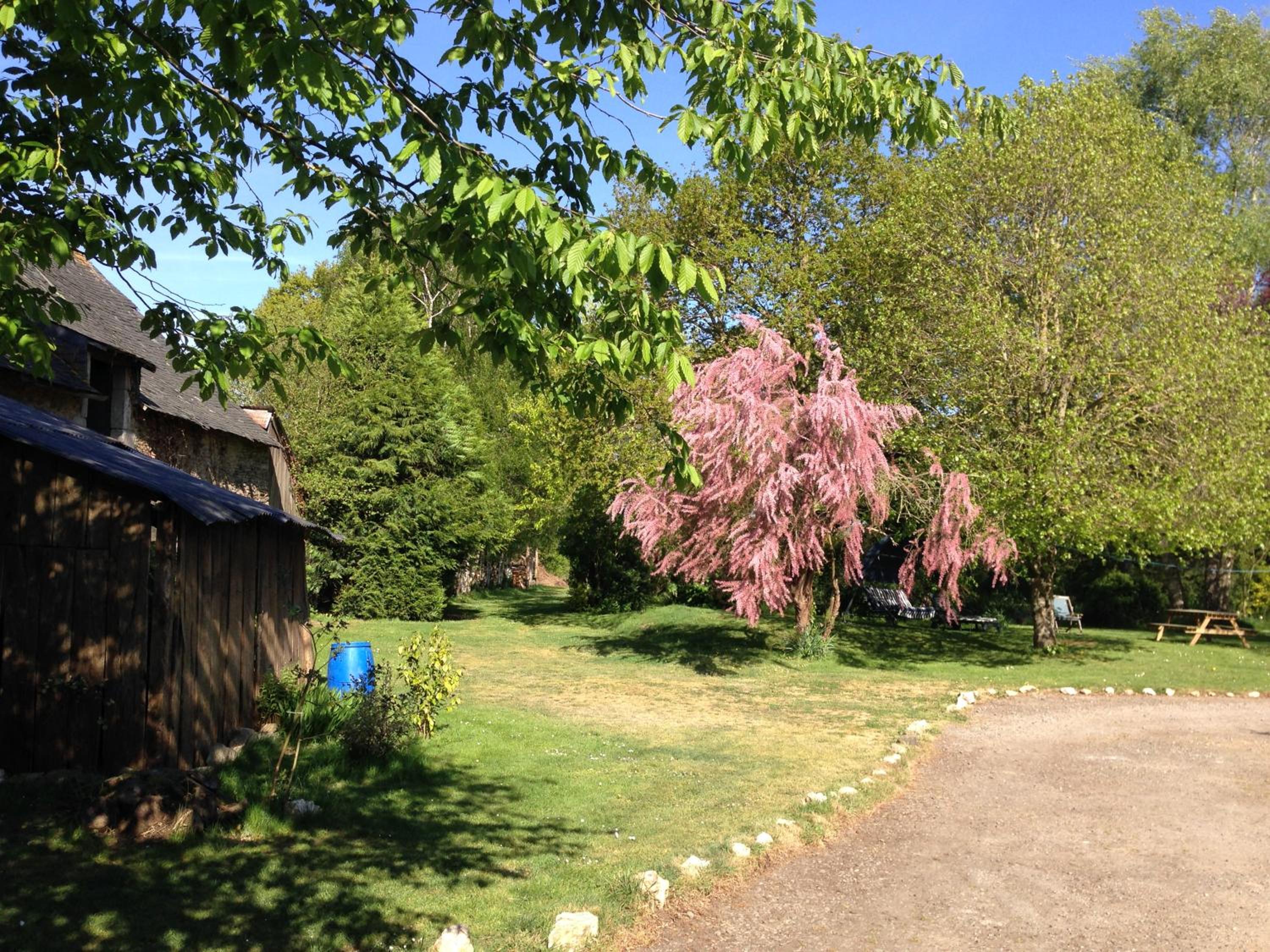 Photo 23