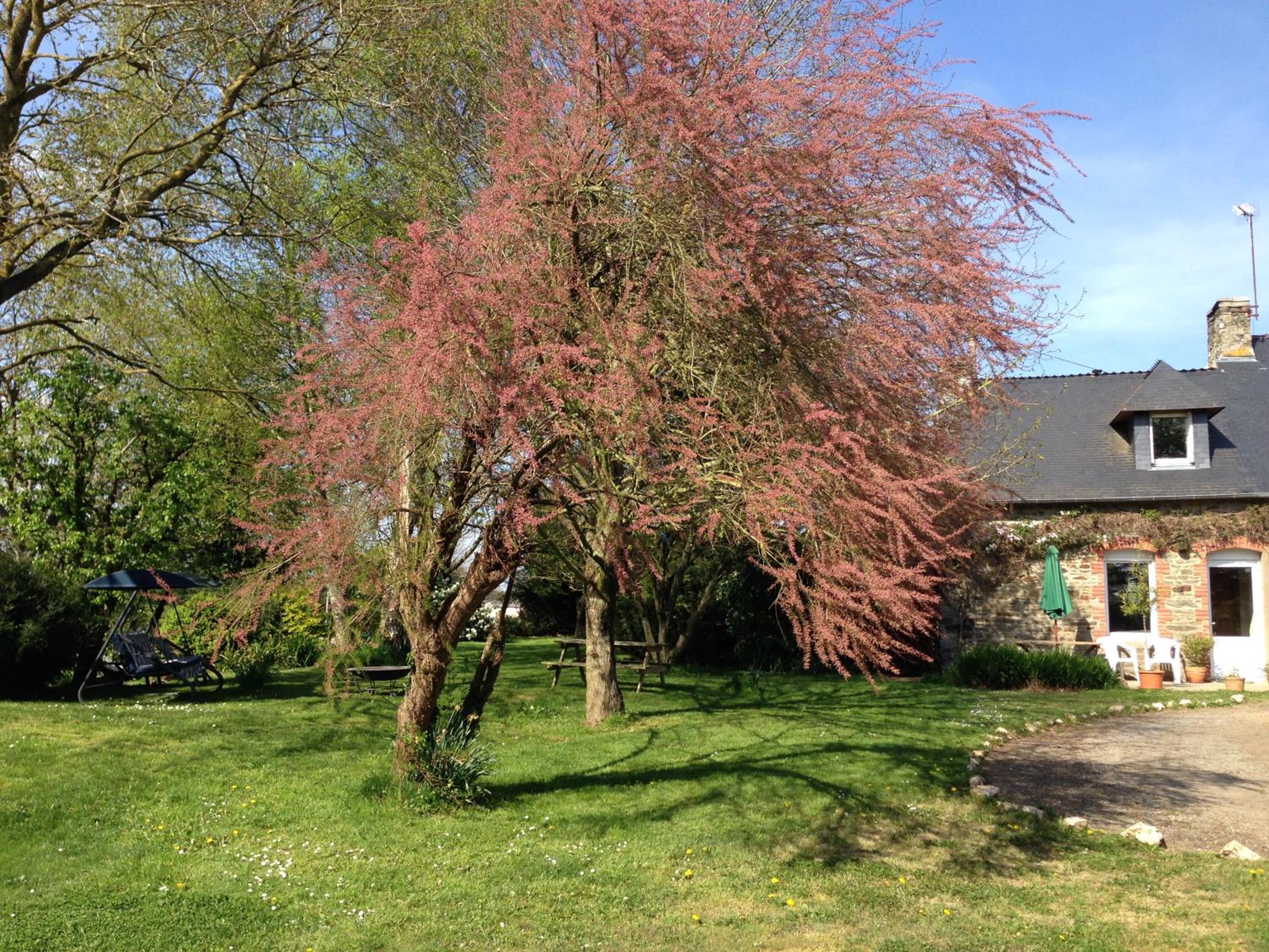 Photo 48