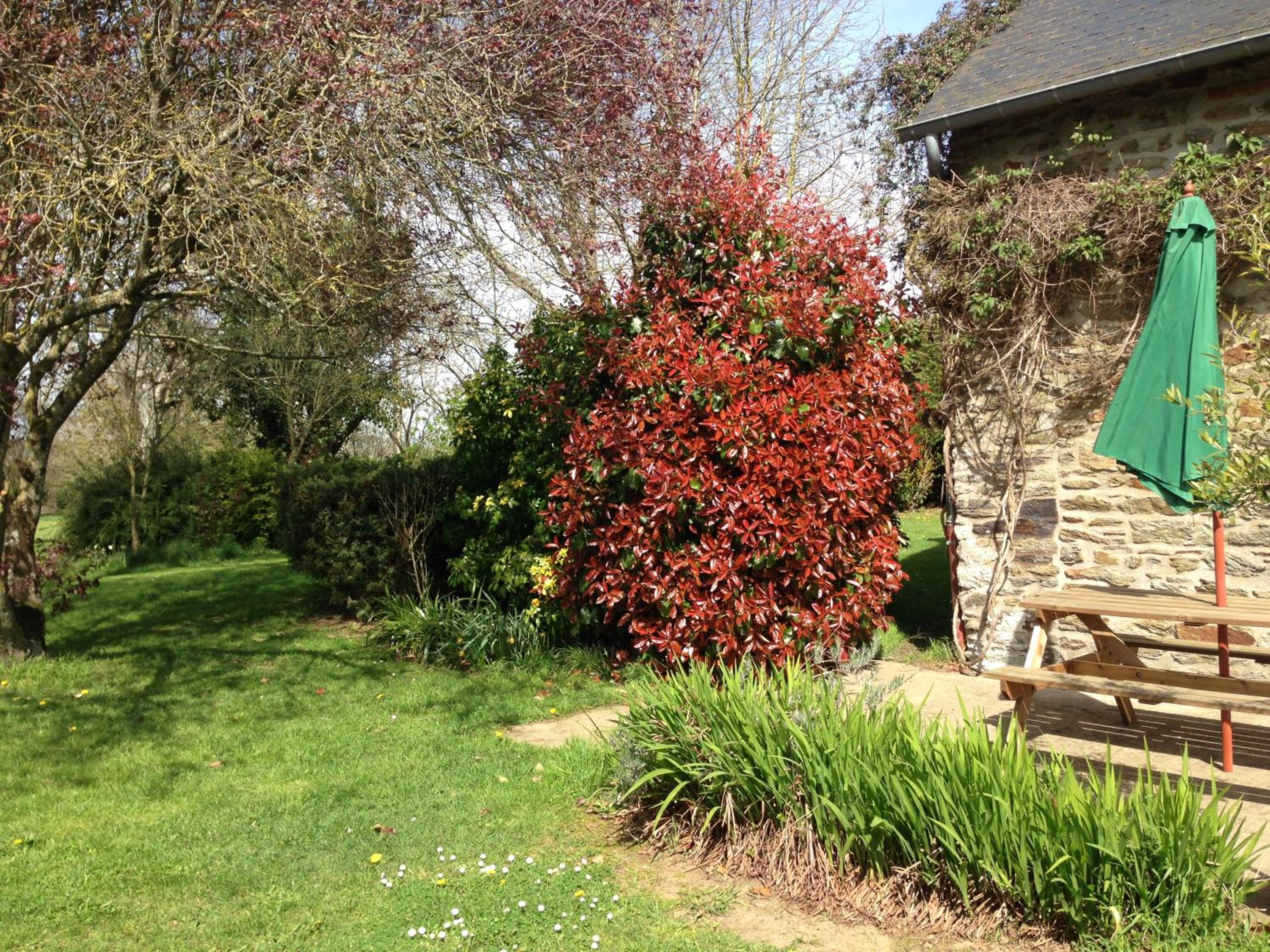 Photo 26