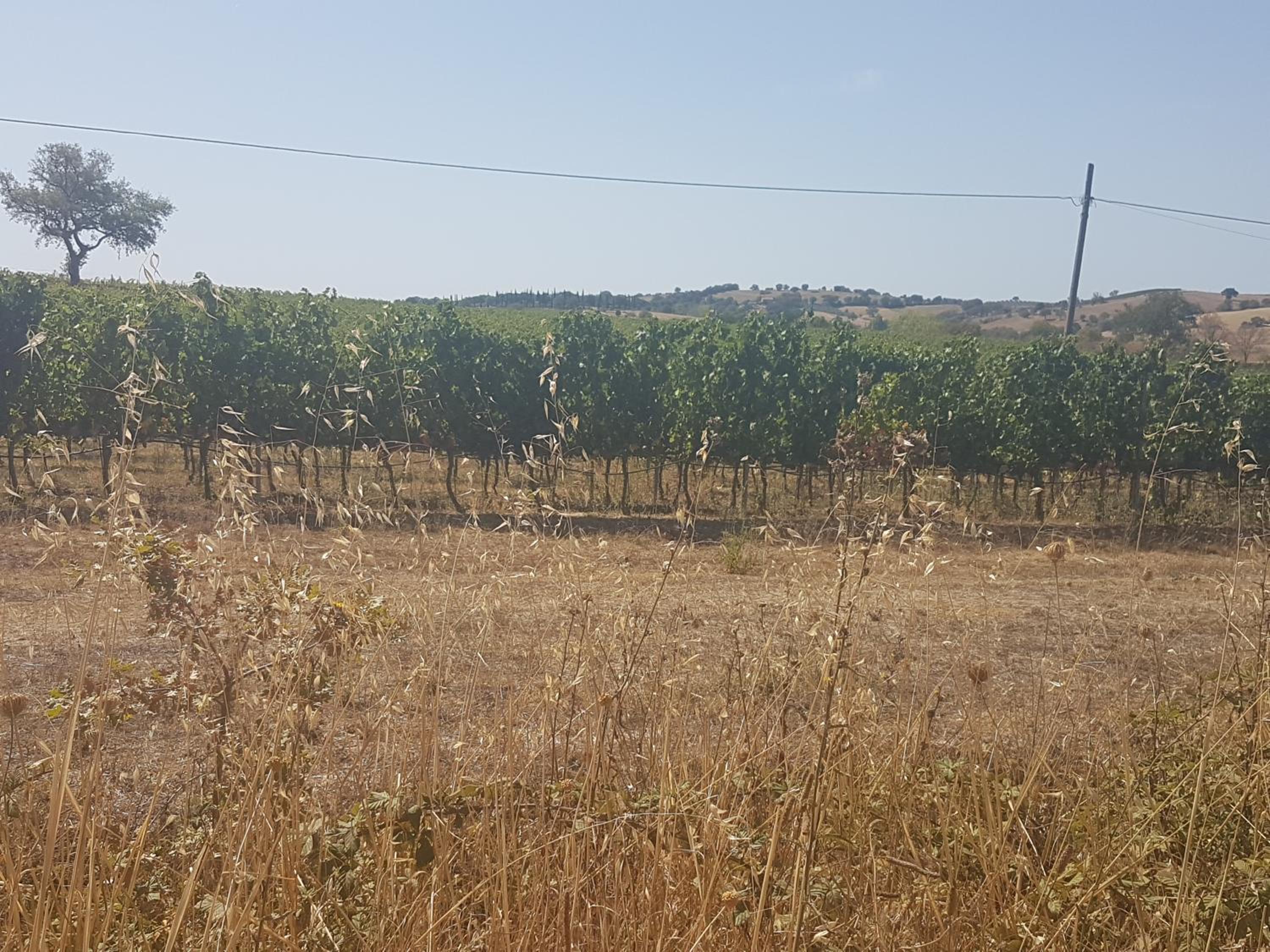 Casa di Campagna view 3