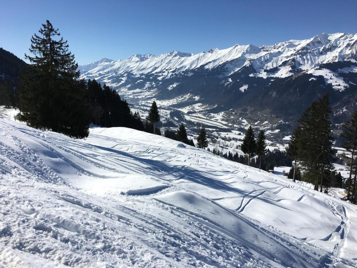 Chalet Tannegg