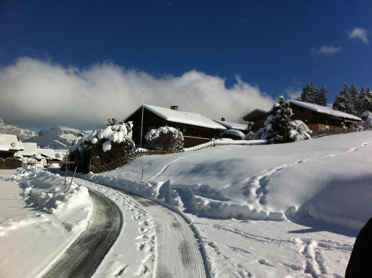 Chalet Tannegg