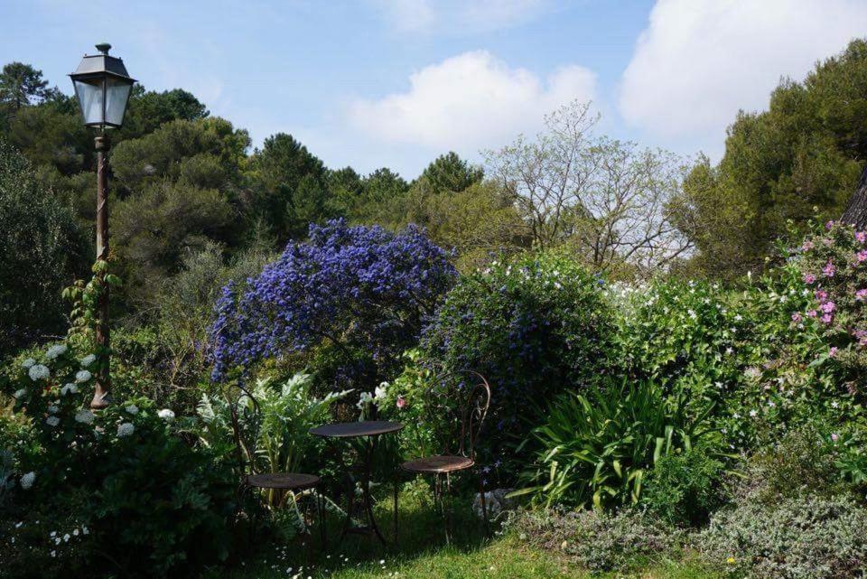 La Vieille Bergerie view 3