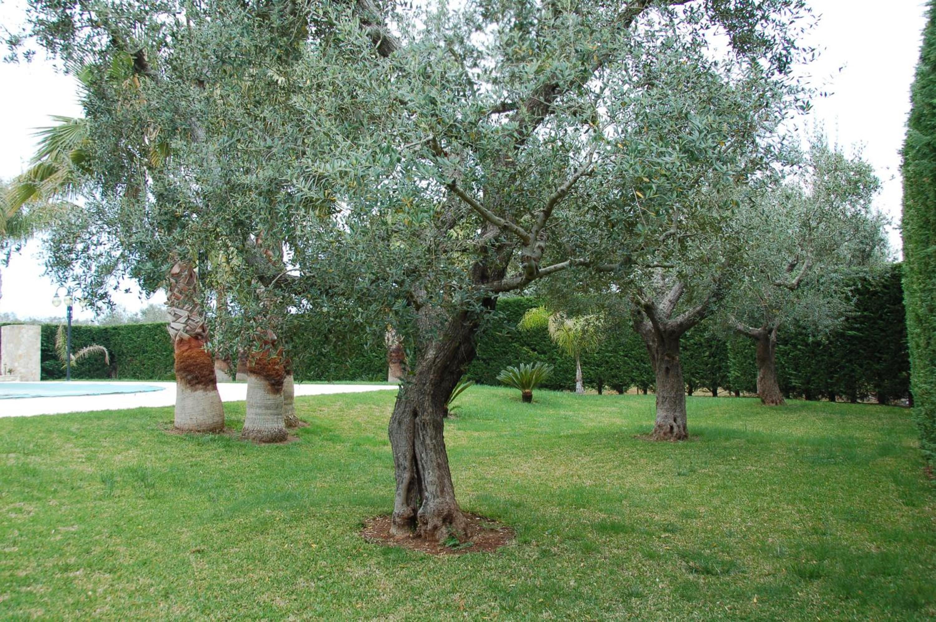 B&B Villa Vittoria