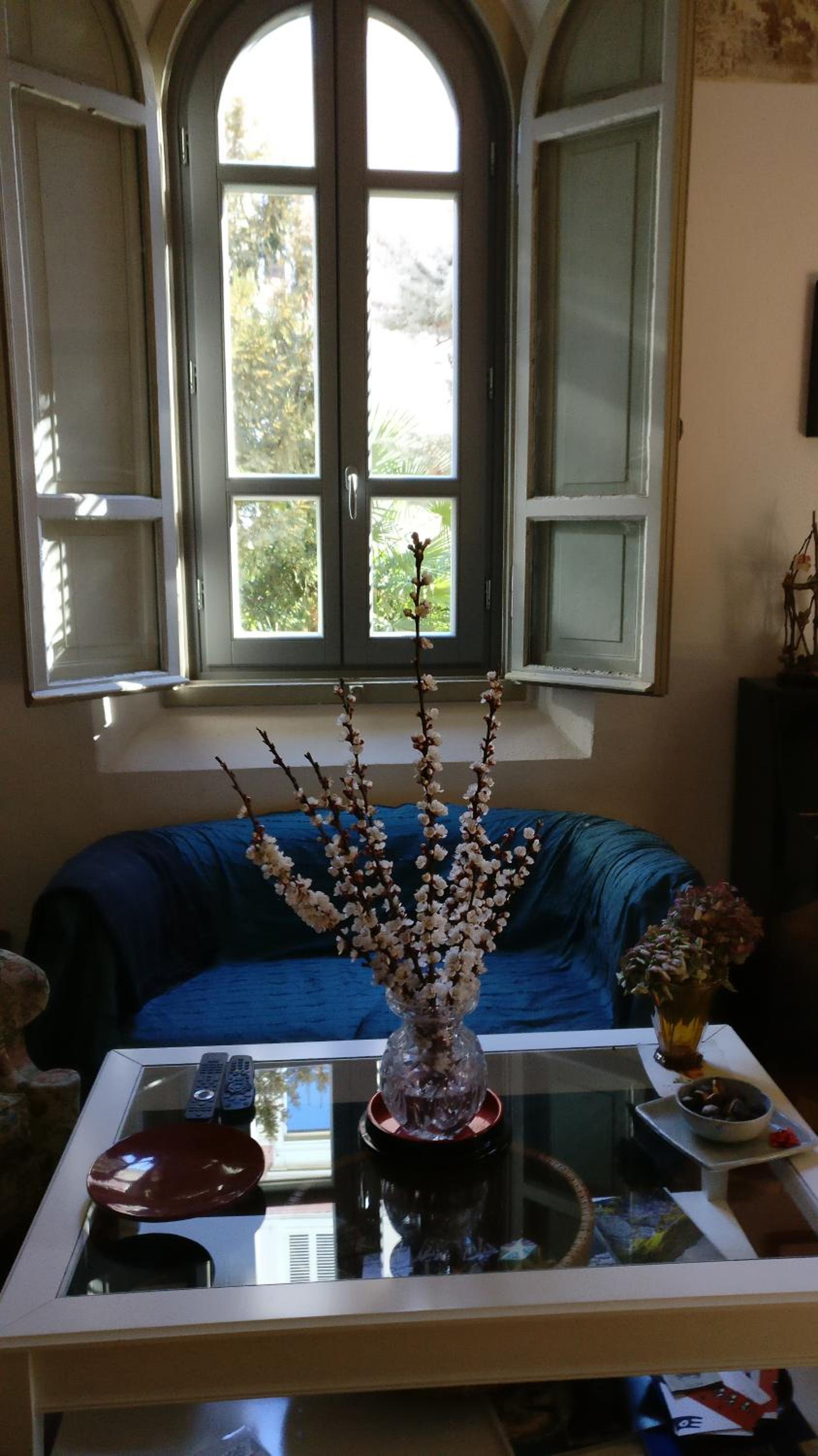 Photo 37