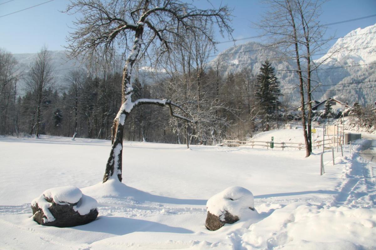 Chalet Montafon