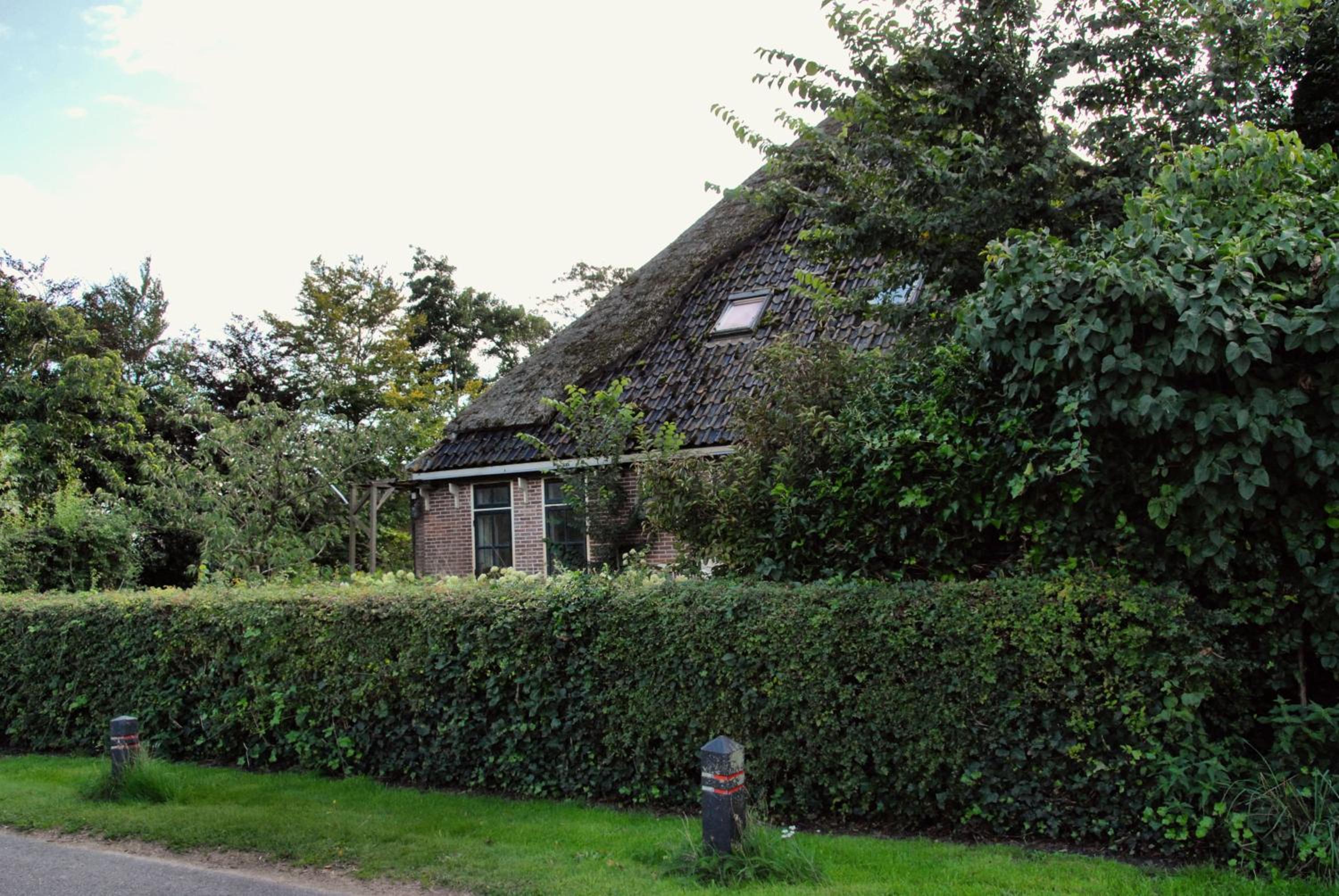 Photo 8