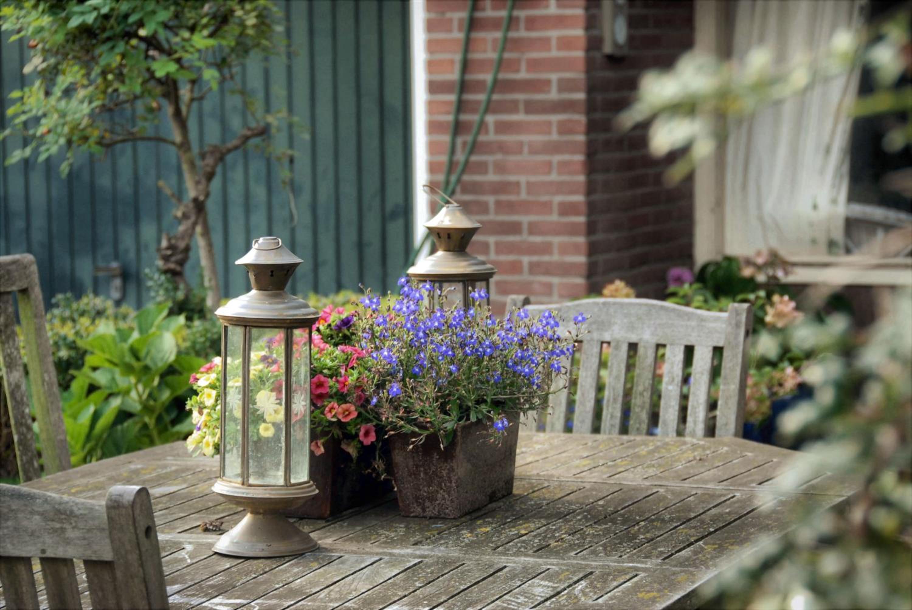 Sterrenhoeve view 5