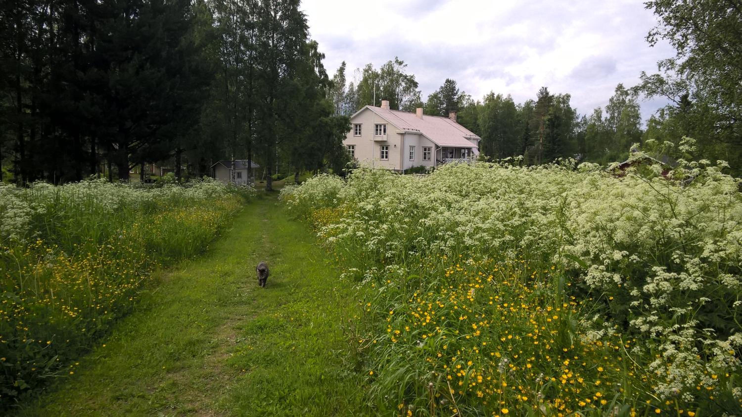 Photo 35