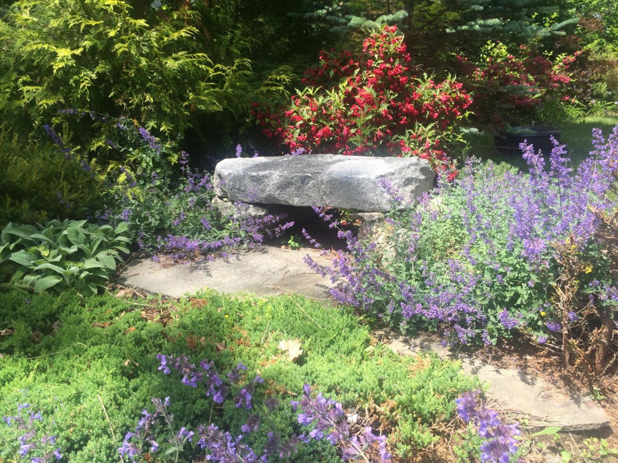 Photo 12