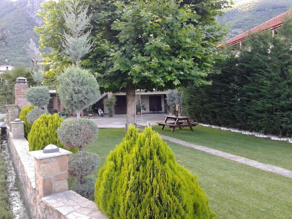Photo 48