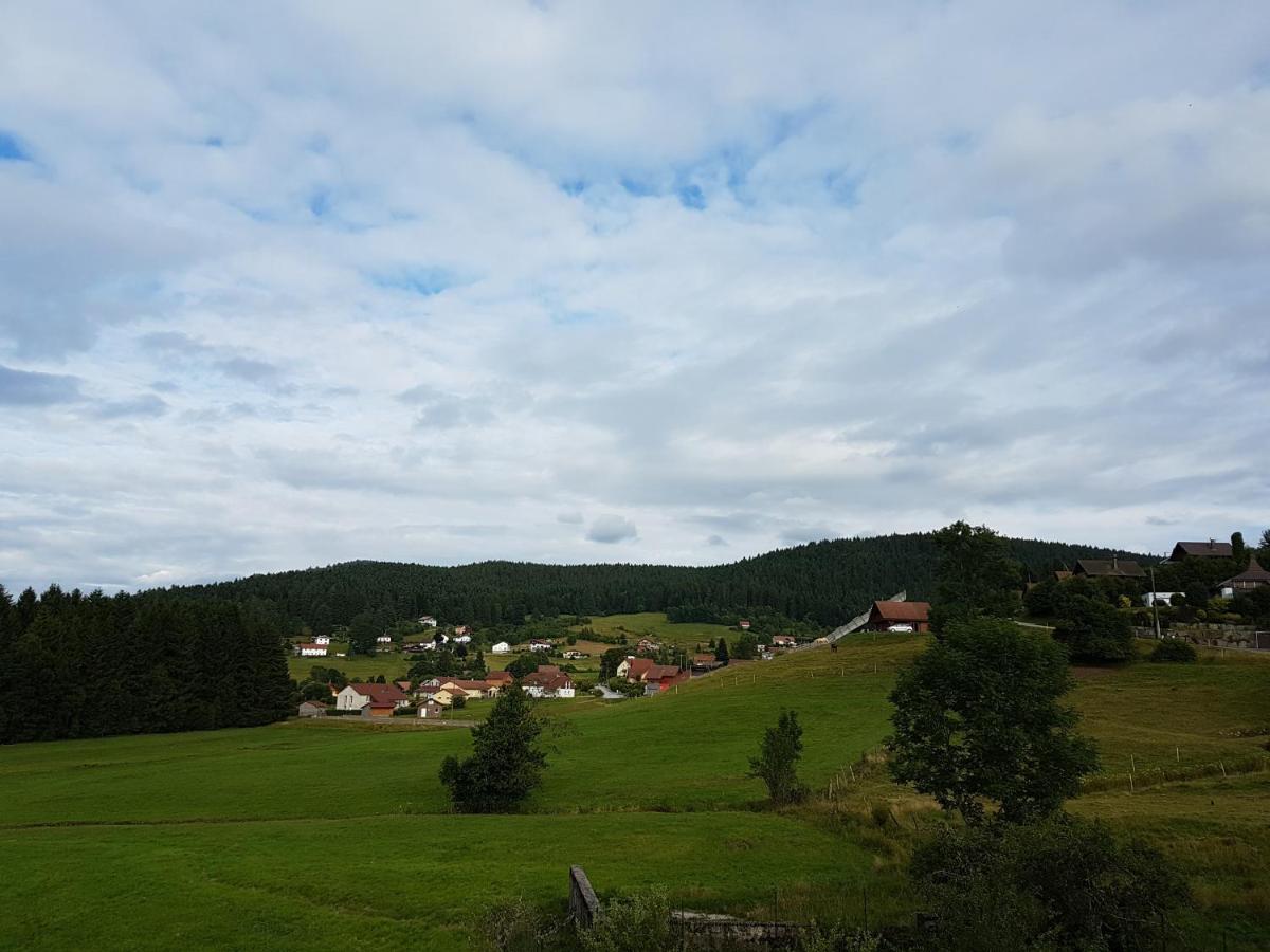 Photo 51