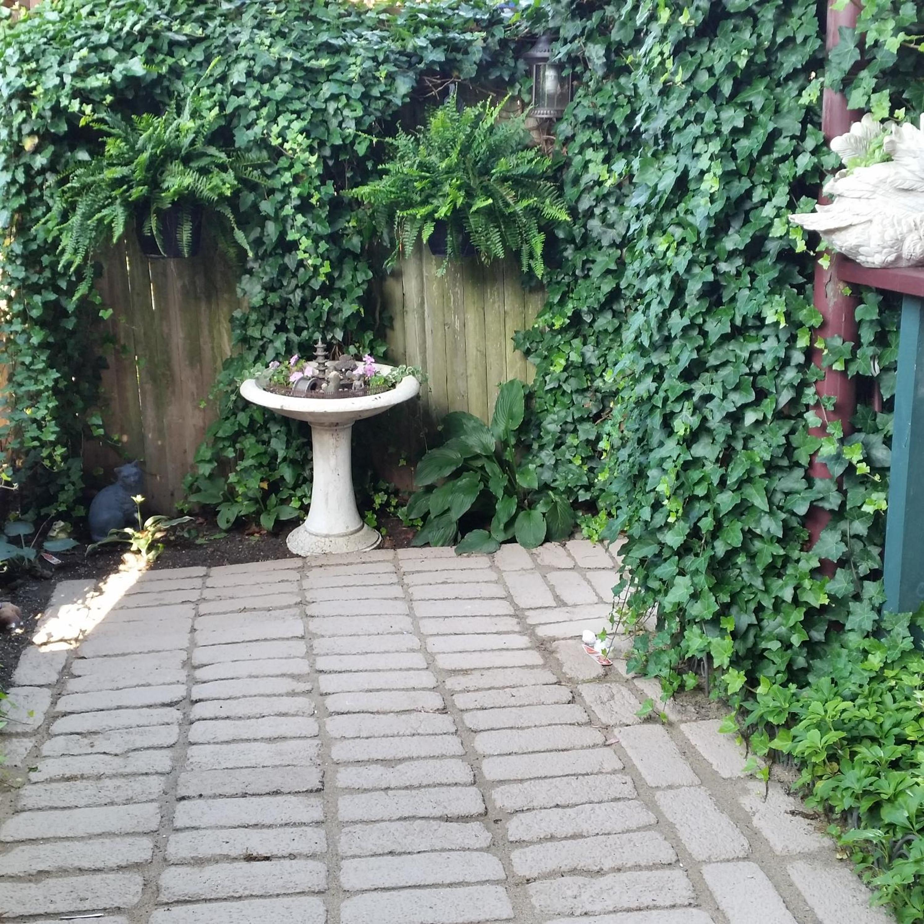 Photo 26
