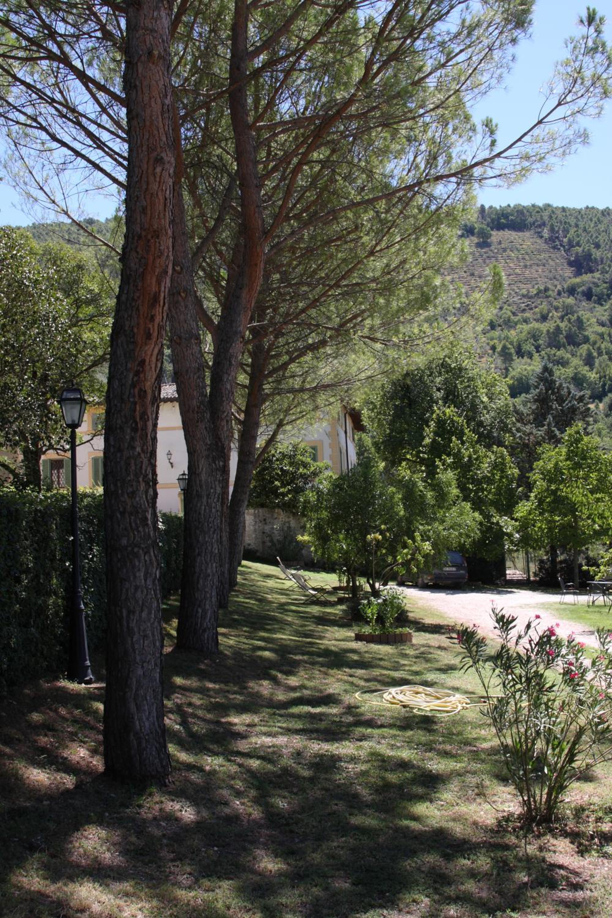 Villa del Cardinale