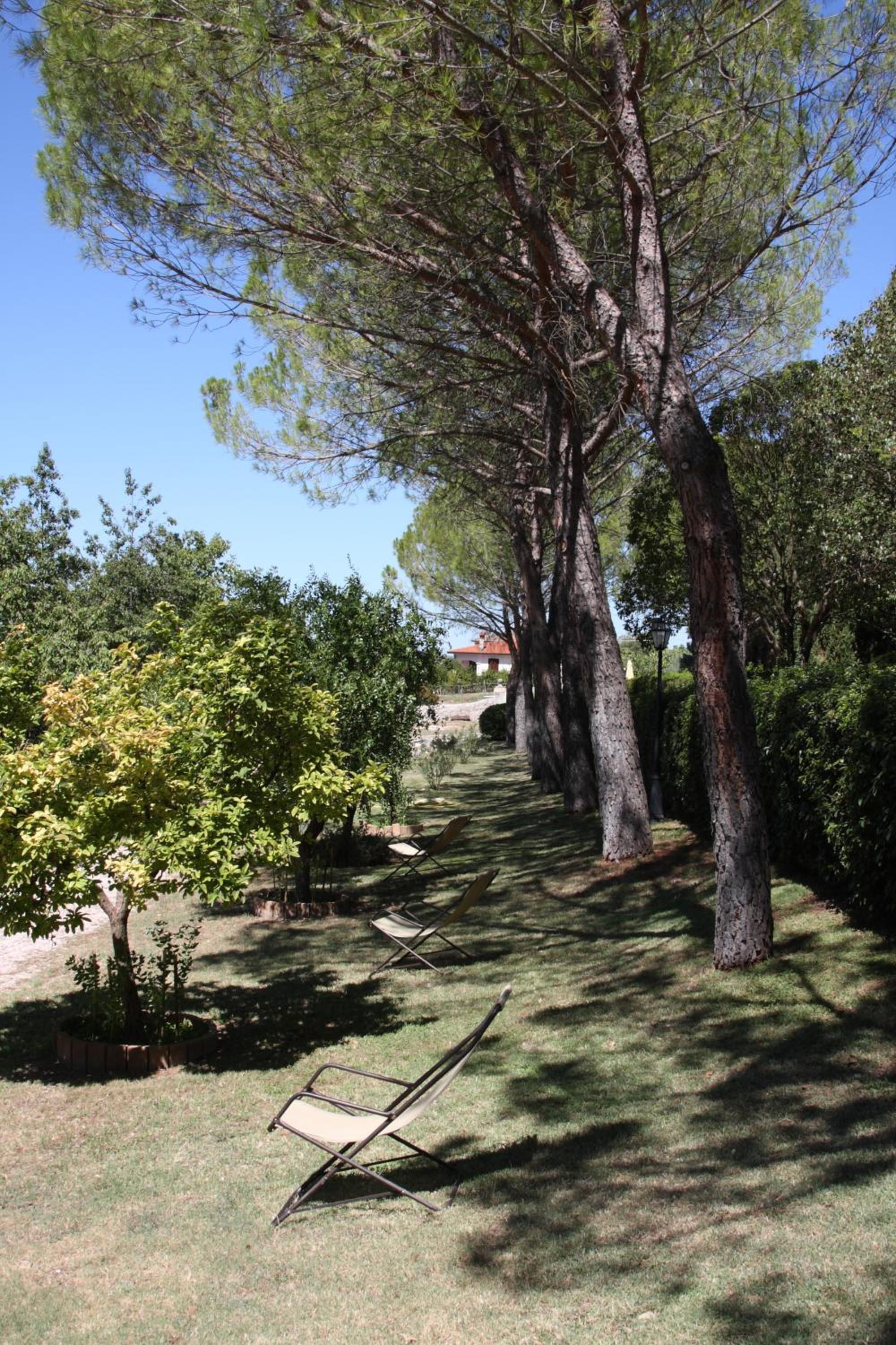 Villa del Cardinale