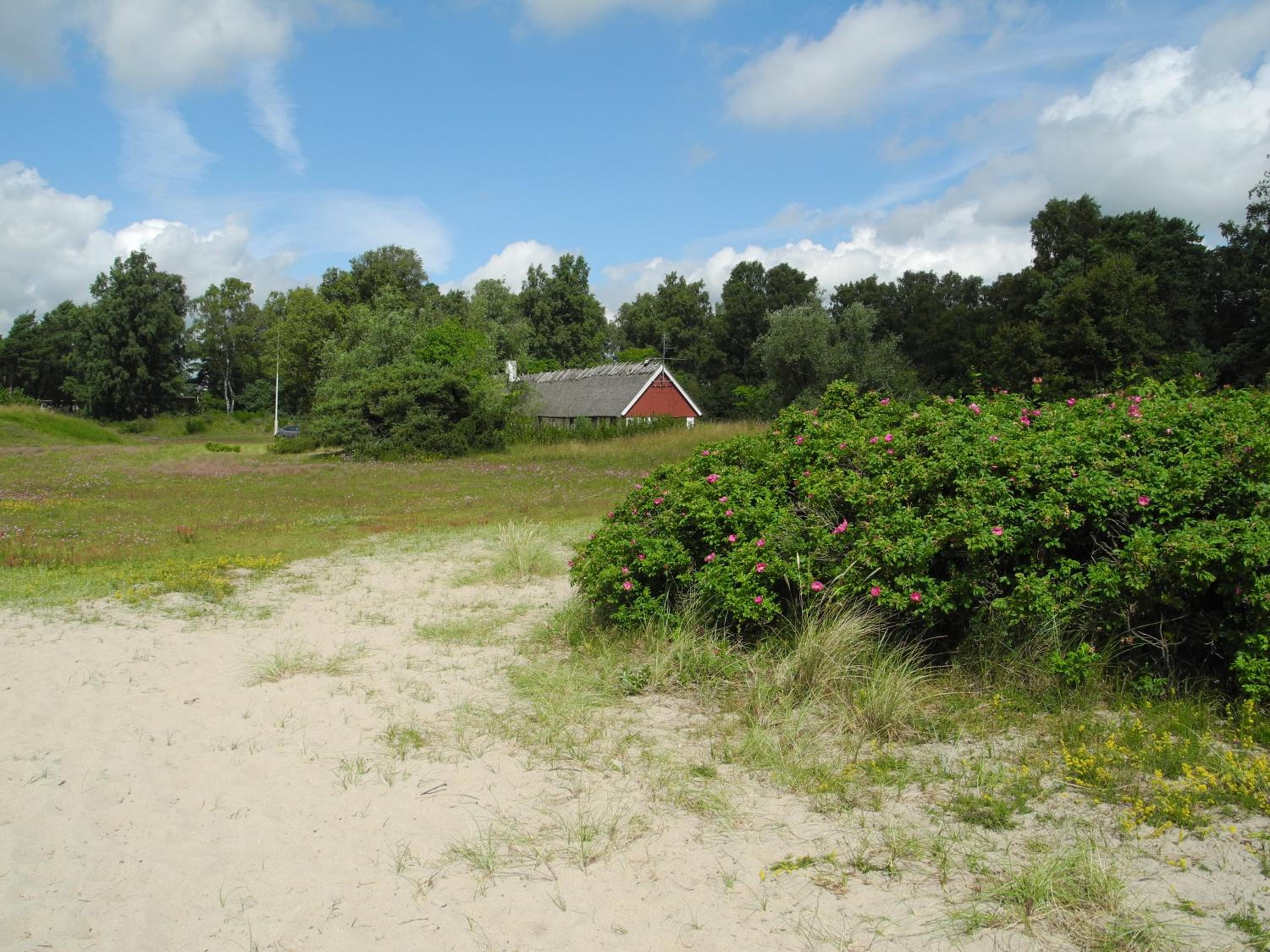 Ystad Holiday Houses view 2