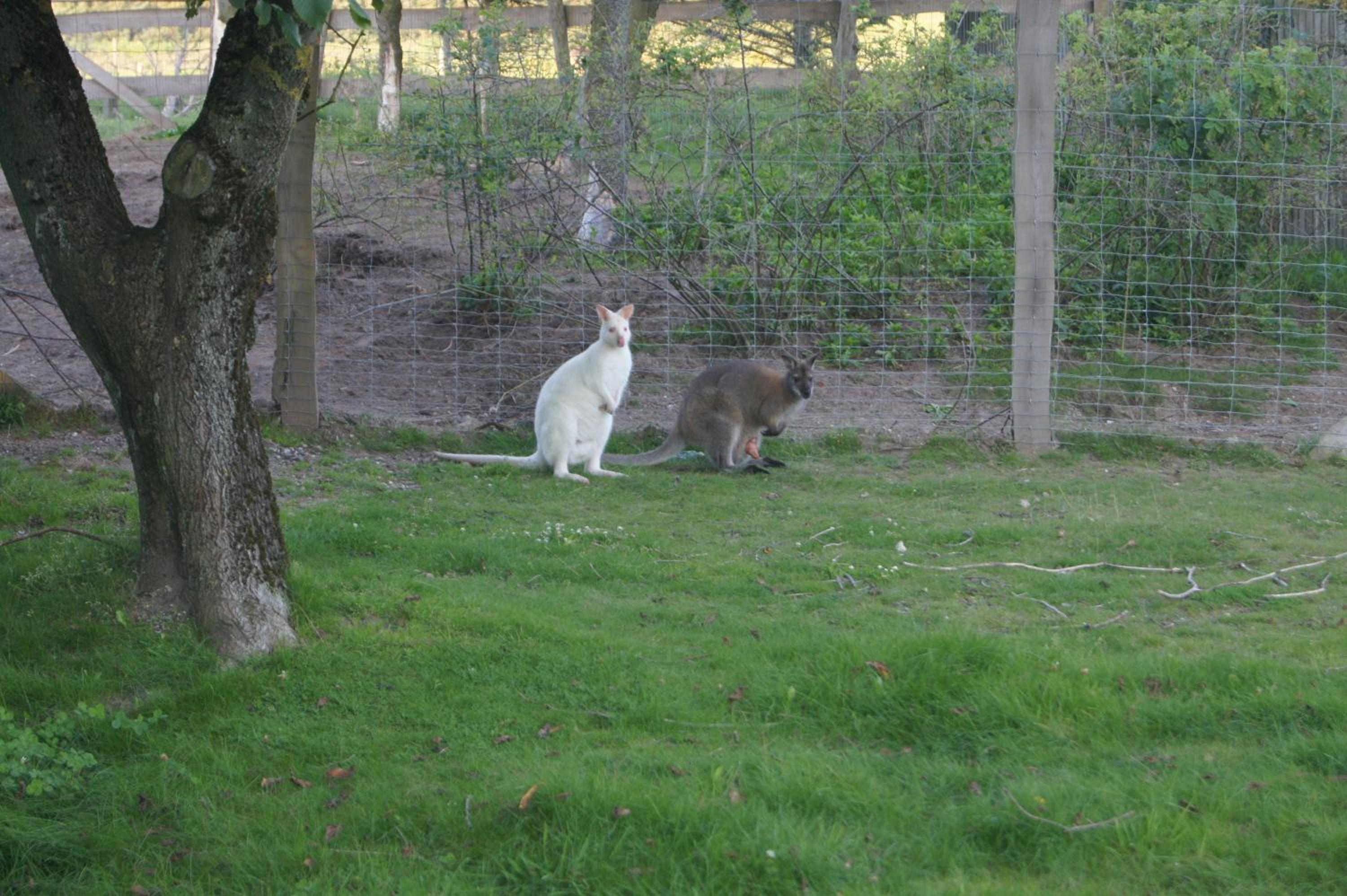 Photo 72