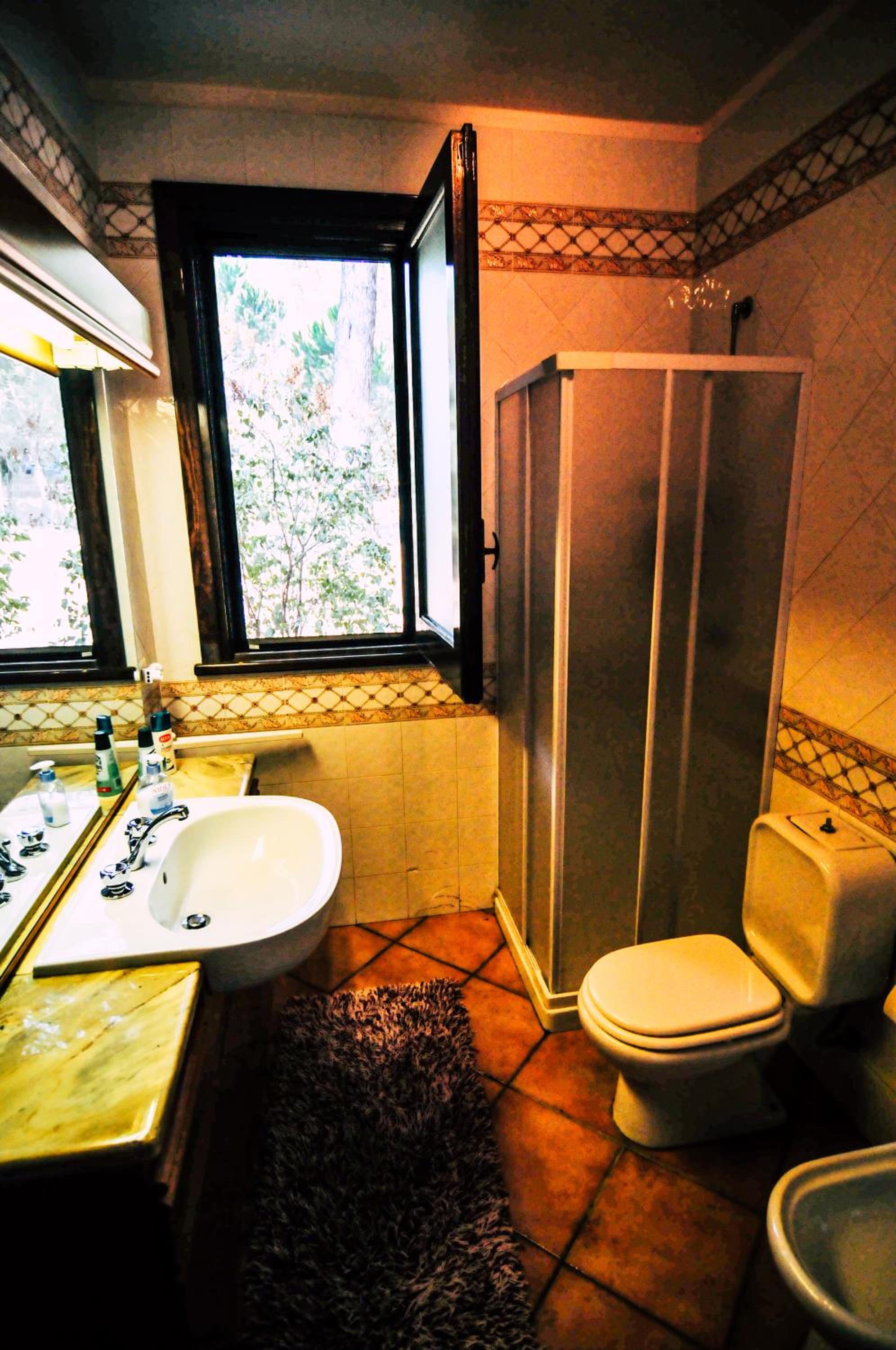 Photo 44