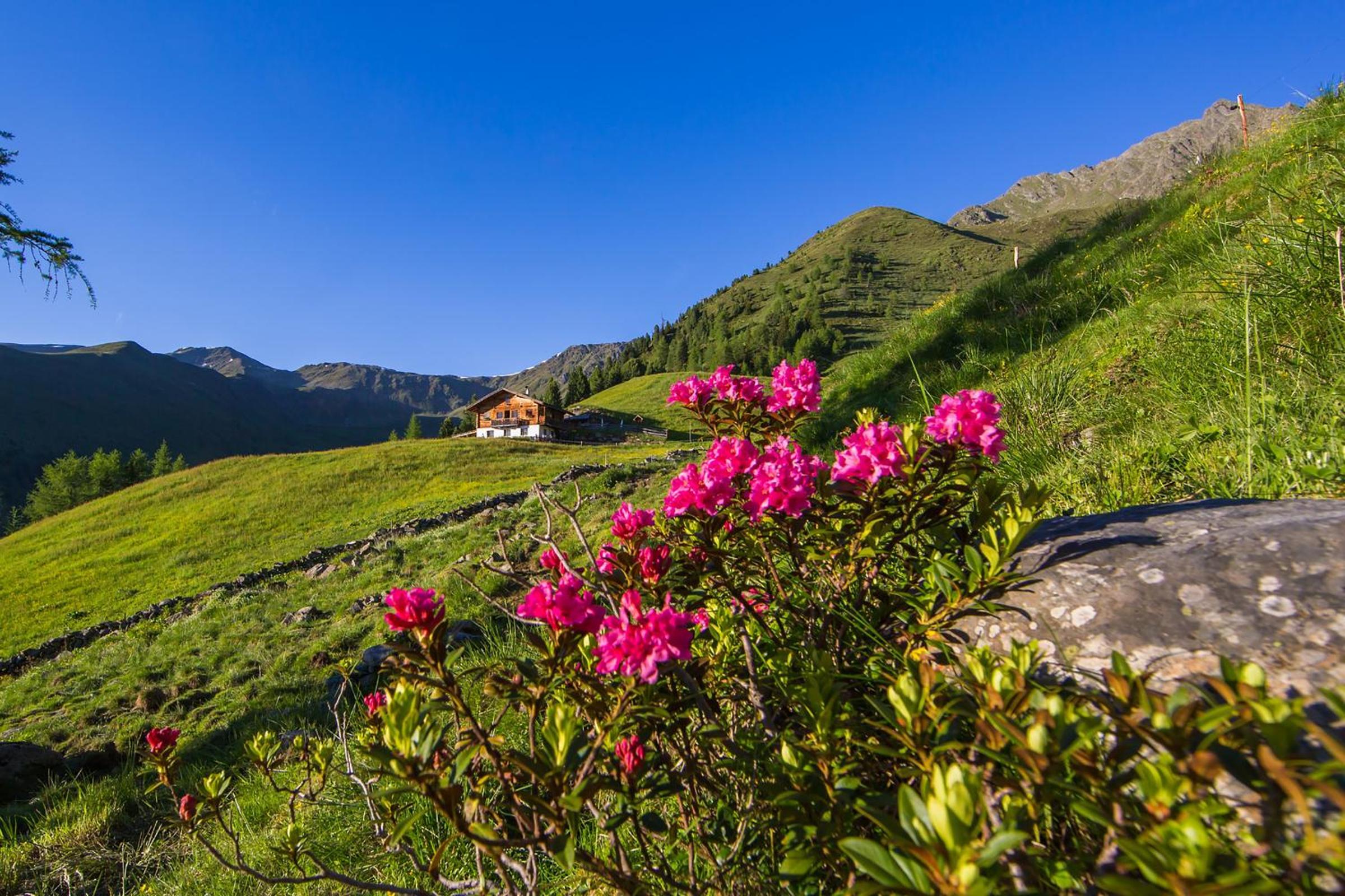 Binterhof