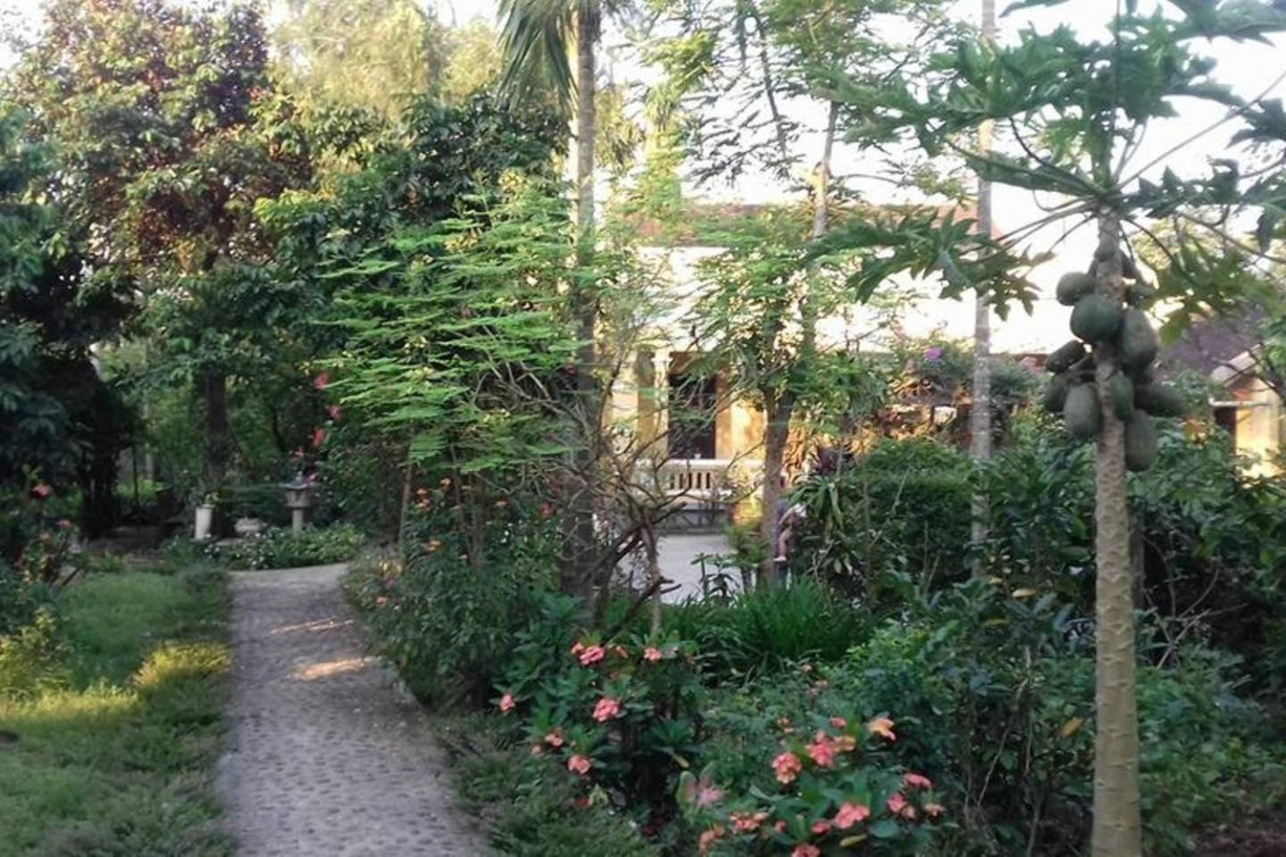 Photo 15