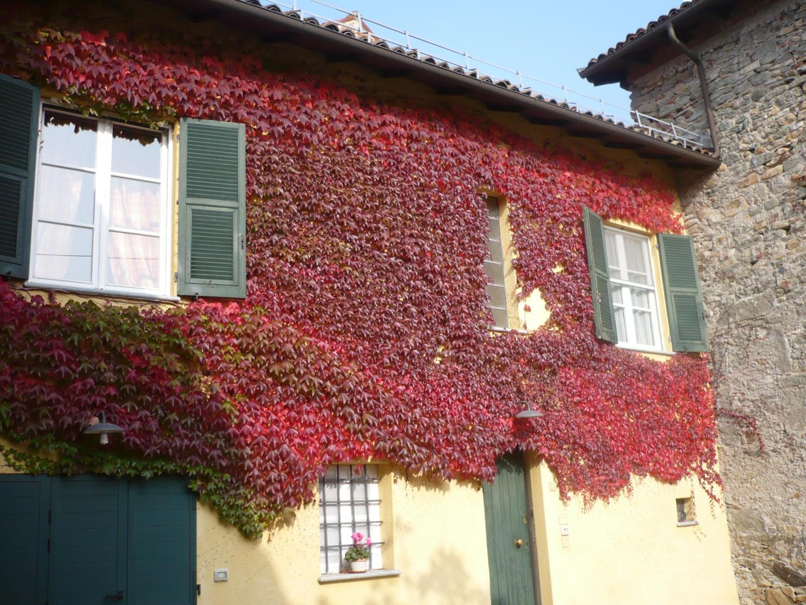 Cascina Formighezzo, Bilde 15