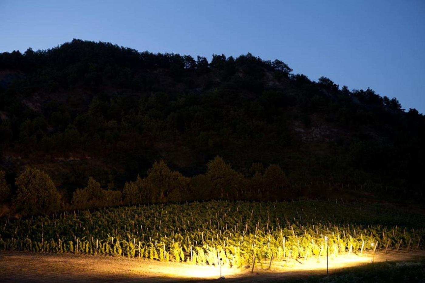 Cascina Formighezzo, Bilde 17