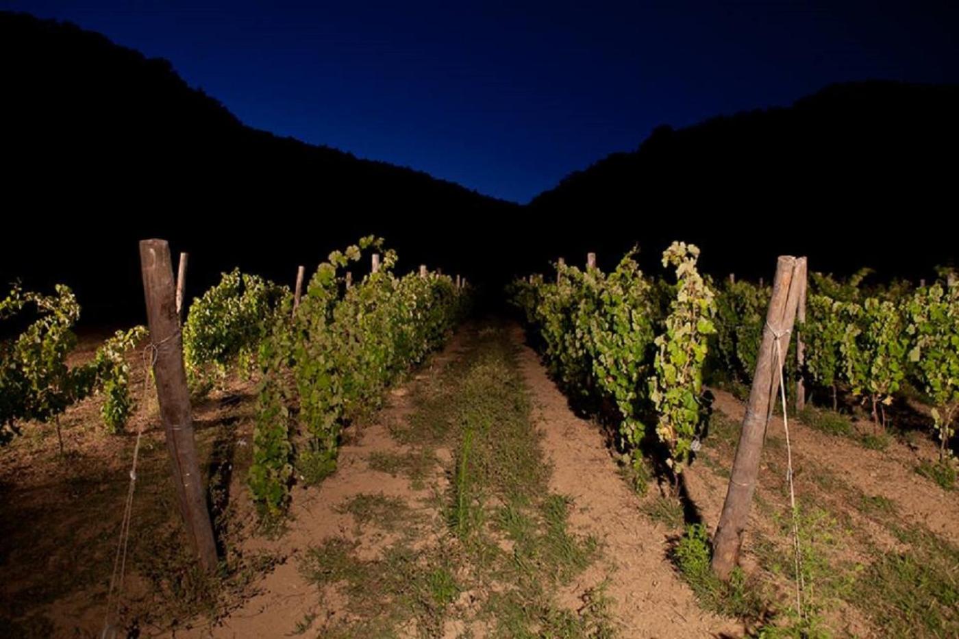Cascina Formighezzo, Bilde 18