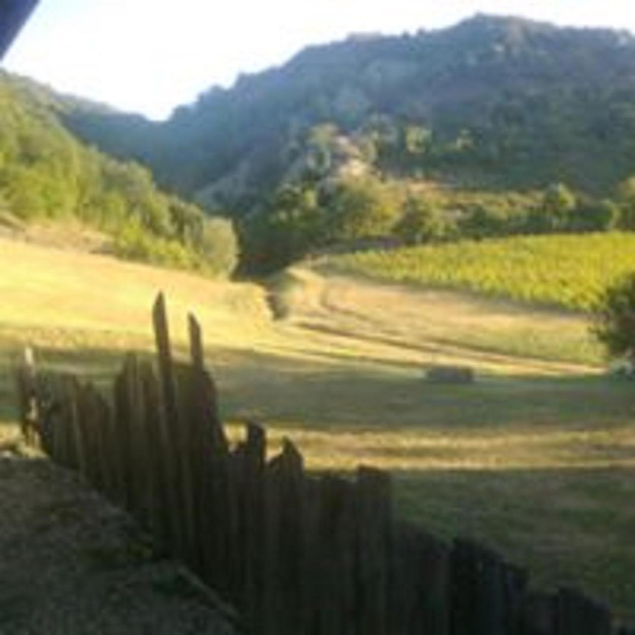 Cascina Formighezzo, Bilde 19