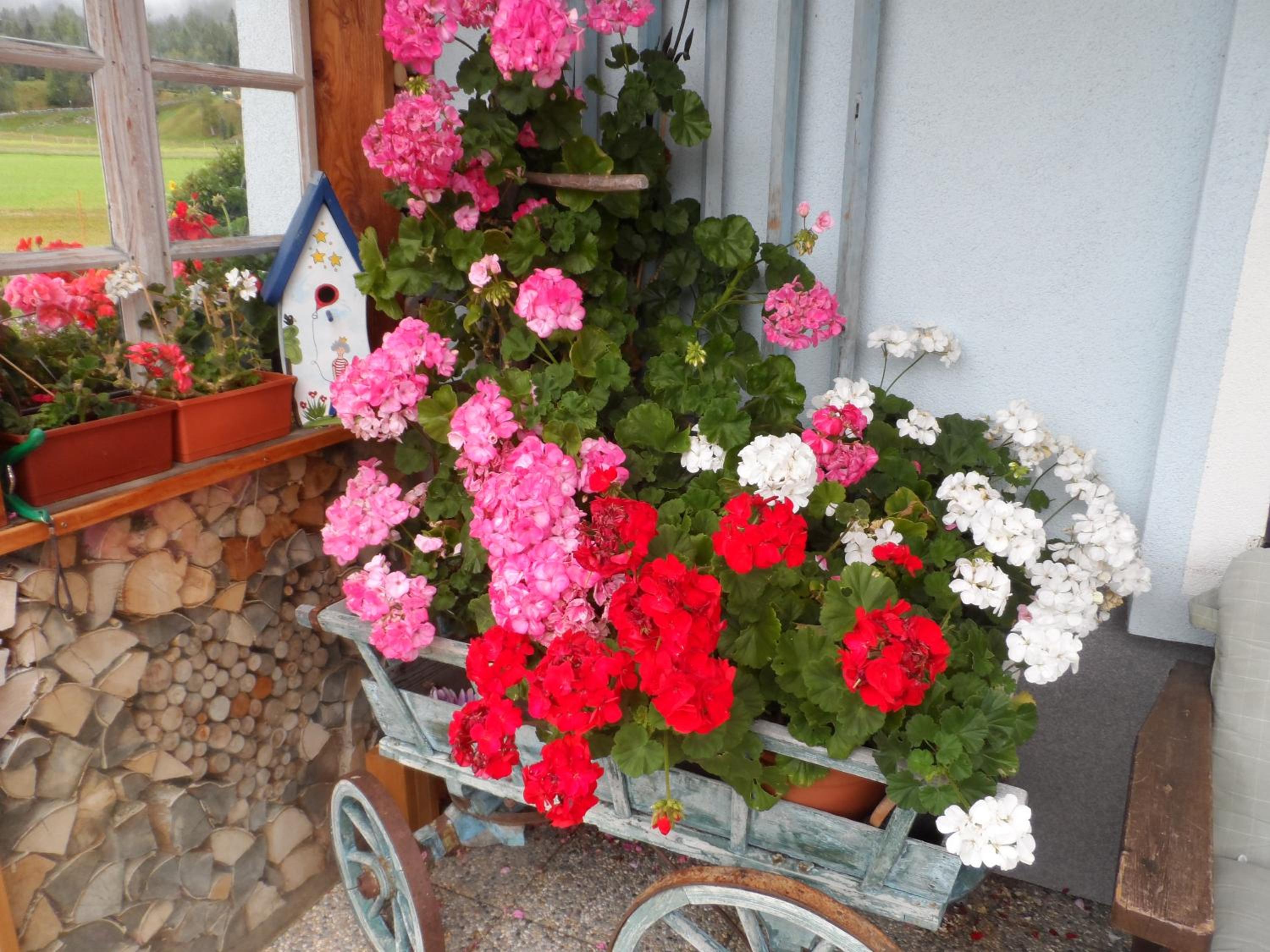 Haus am Wiesenrain