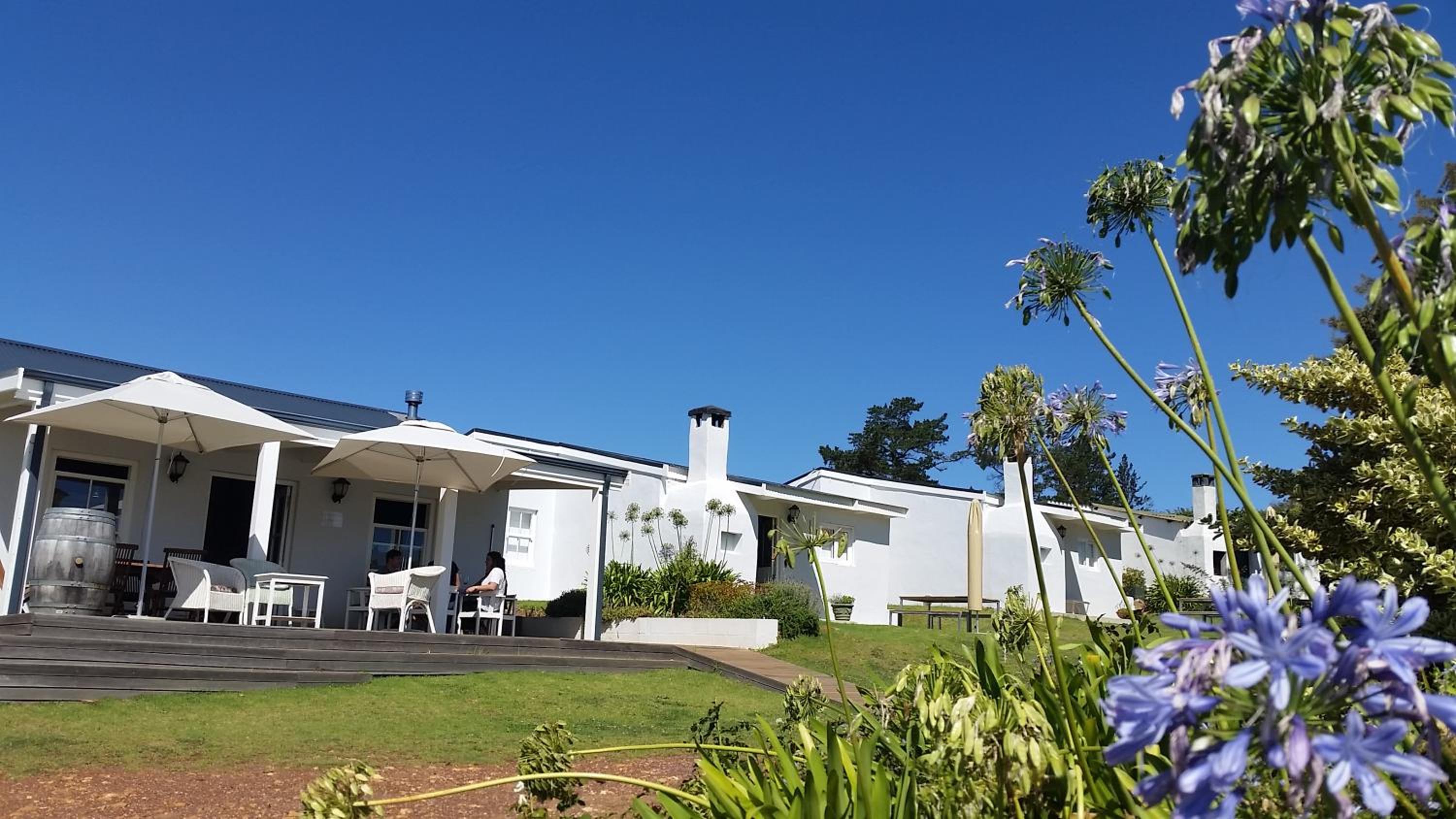 Paul Wallace Wines & Cottages