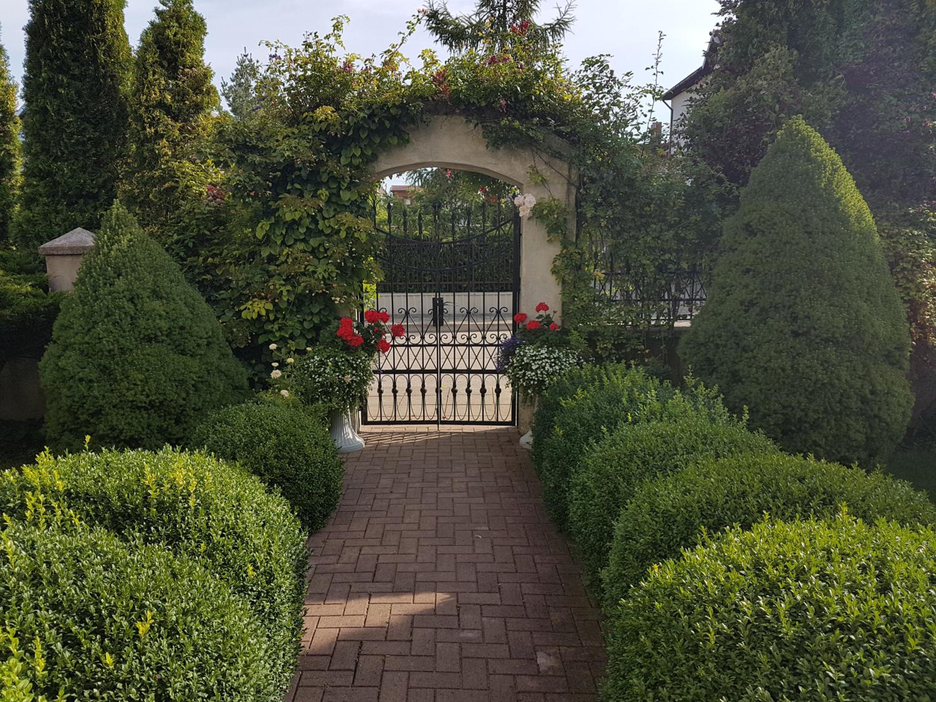 Photo 18
